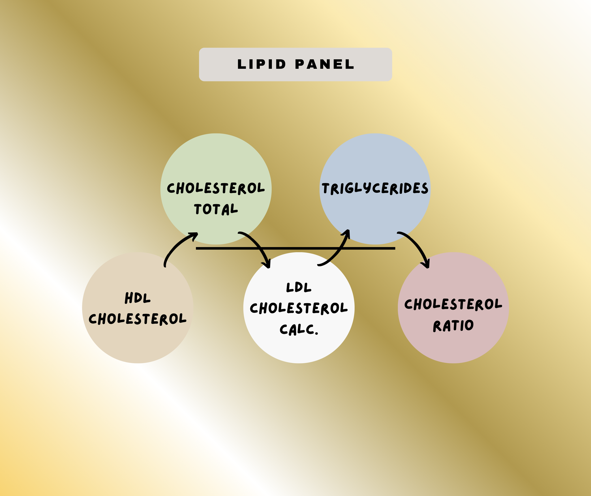 Lipid Panel