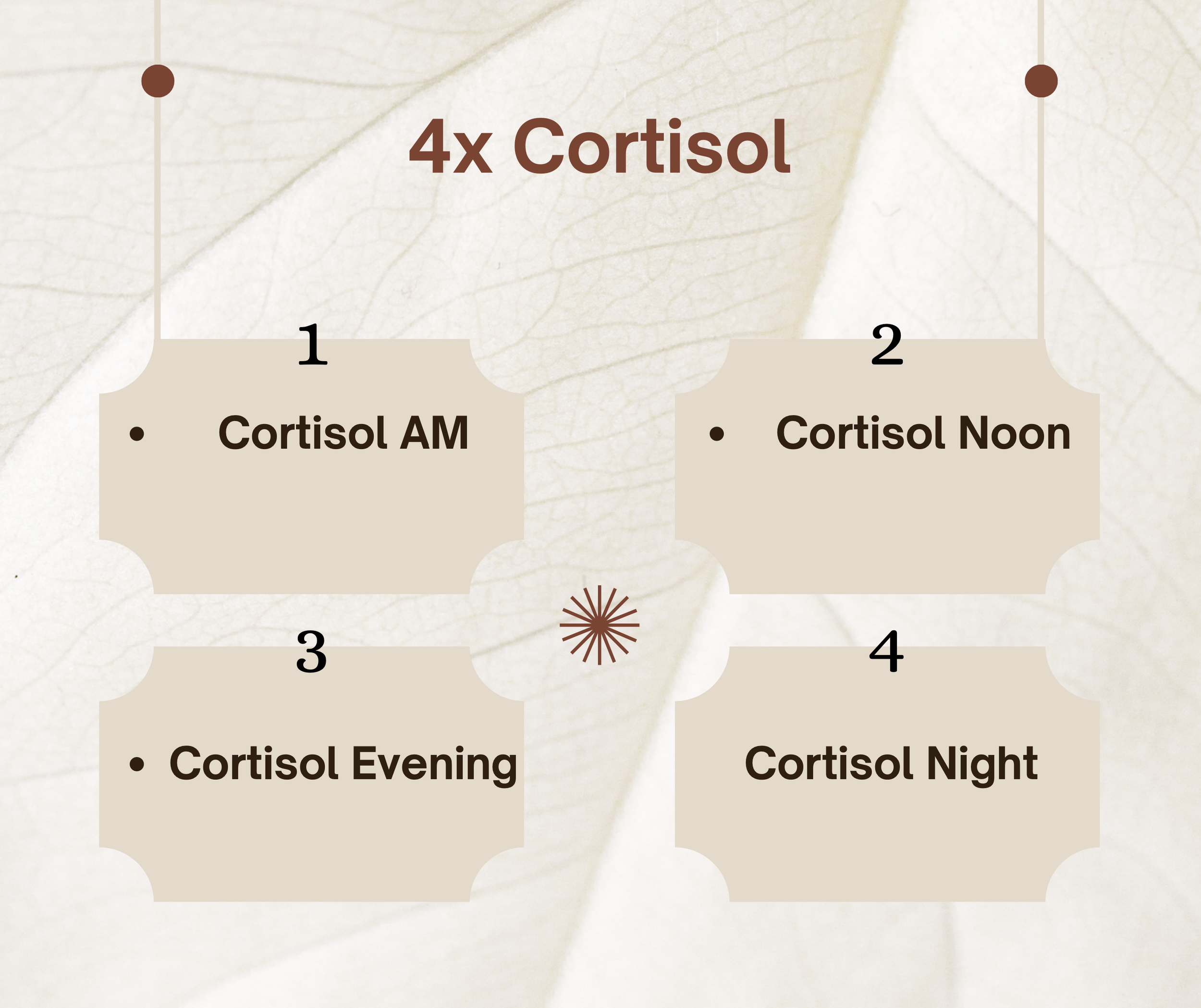 4x Cortisol