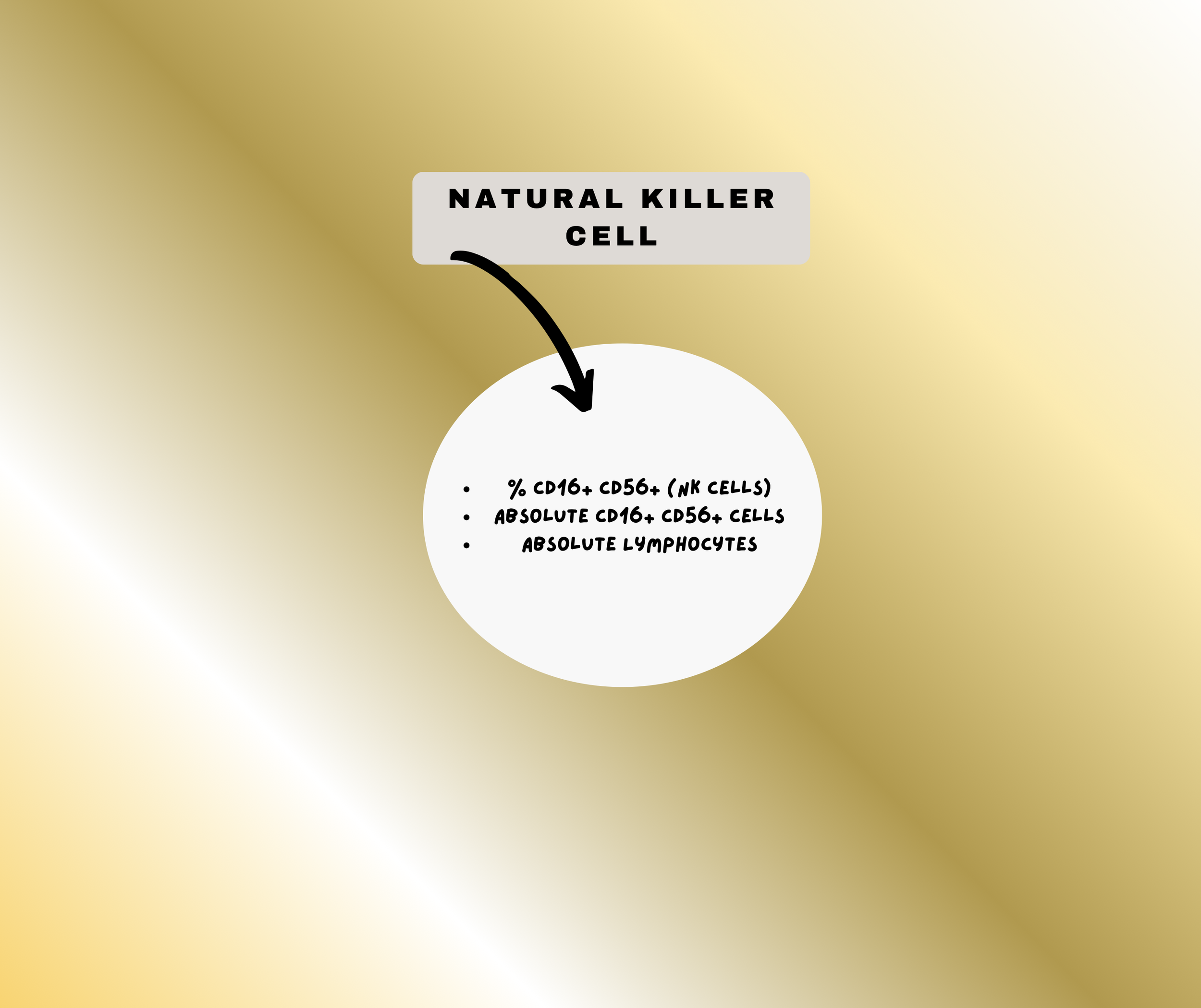 Natural Killer Cell
