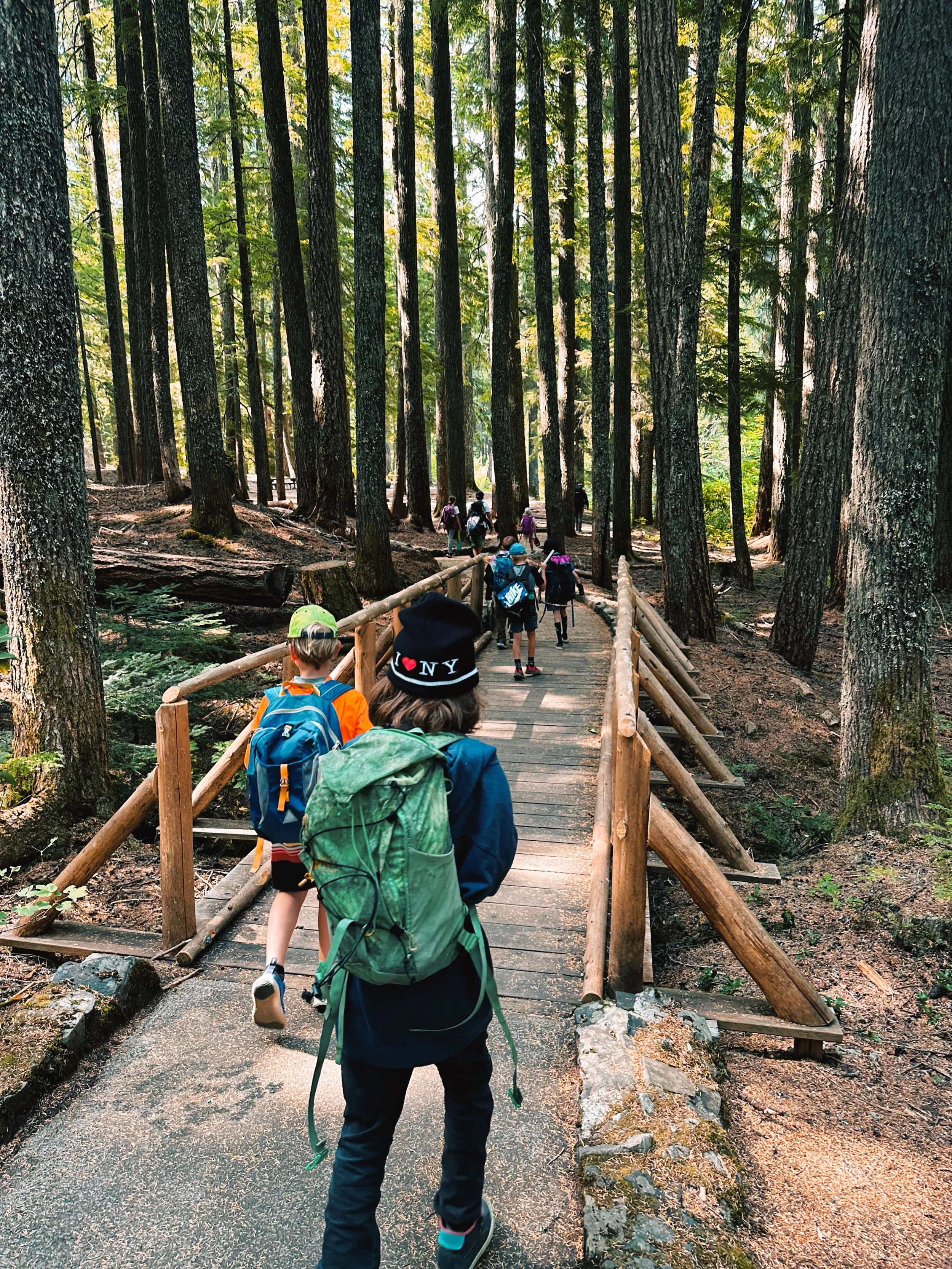 Group of children and adults hiking on a wooden trail through a dense forest with tall trees and lush green foliage.