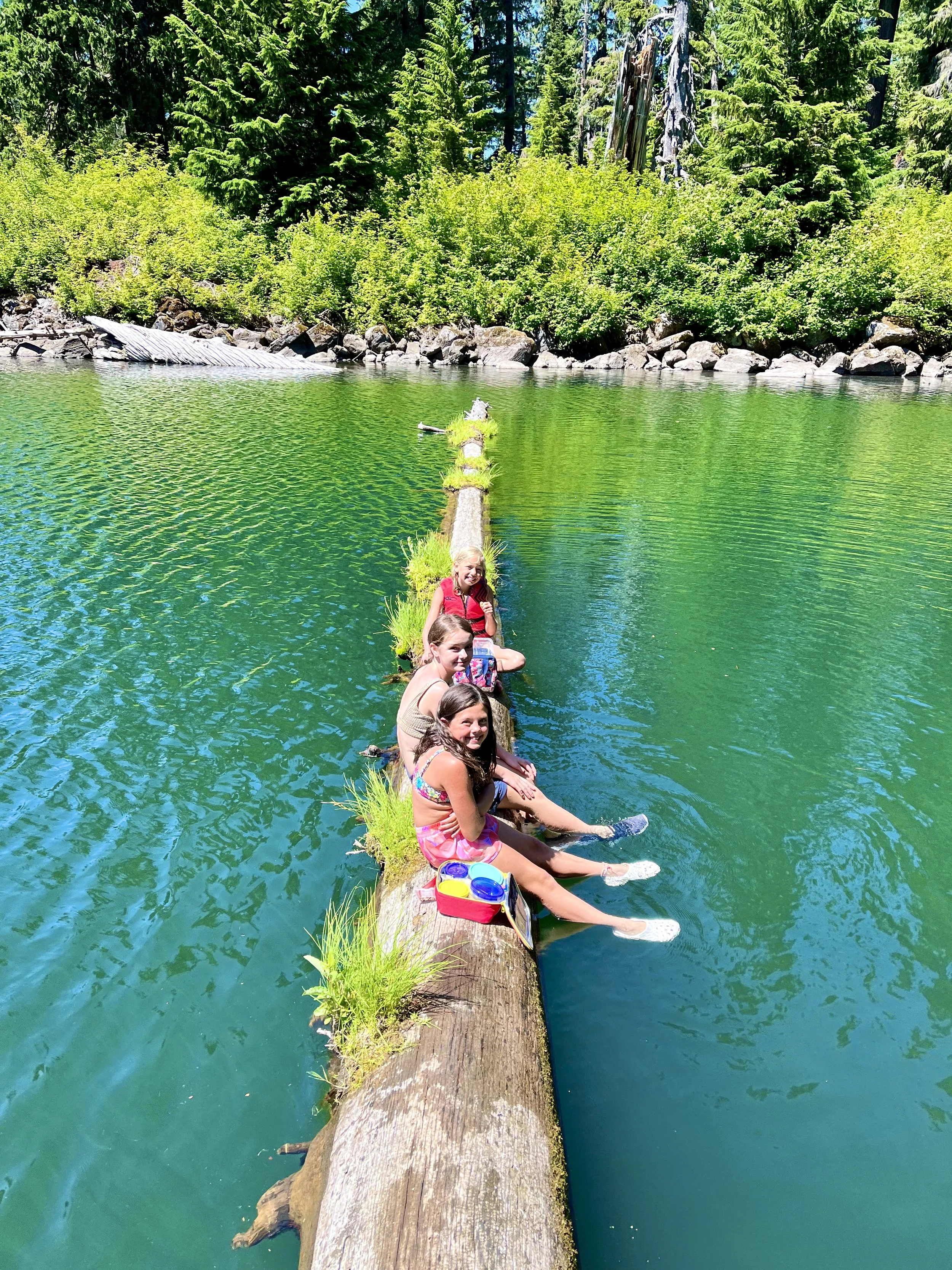 Four children sitting on a partially submerged log in a lake, surrounded by green trees under a clear blue sky.