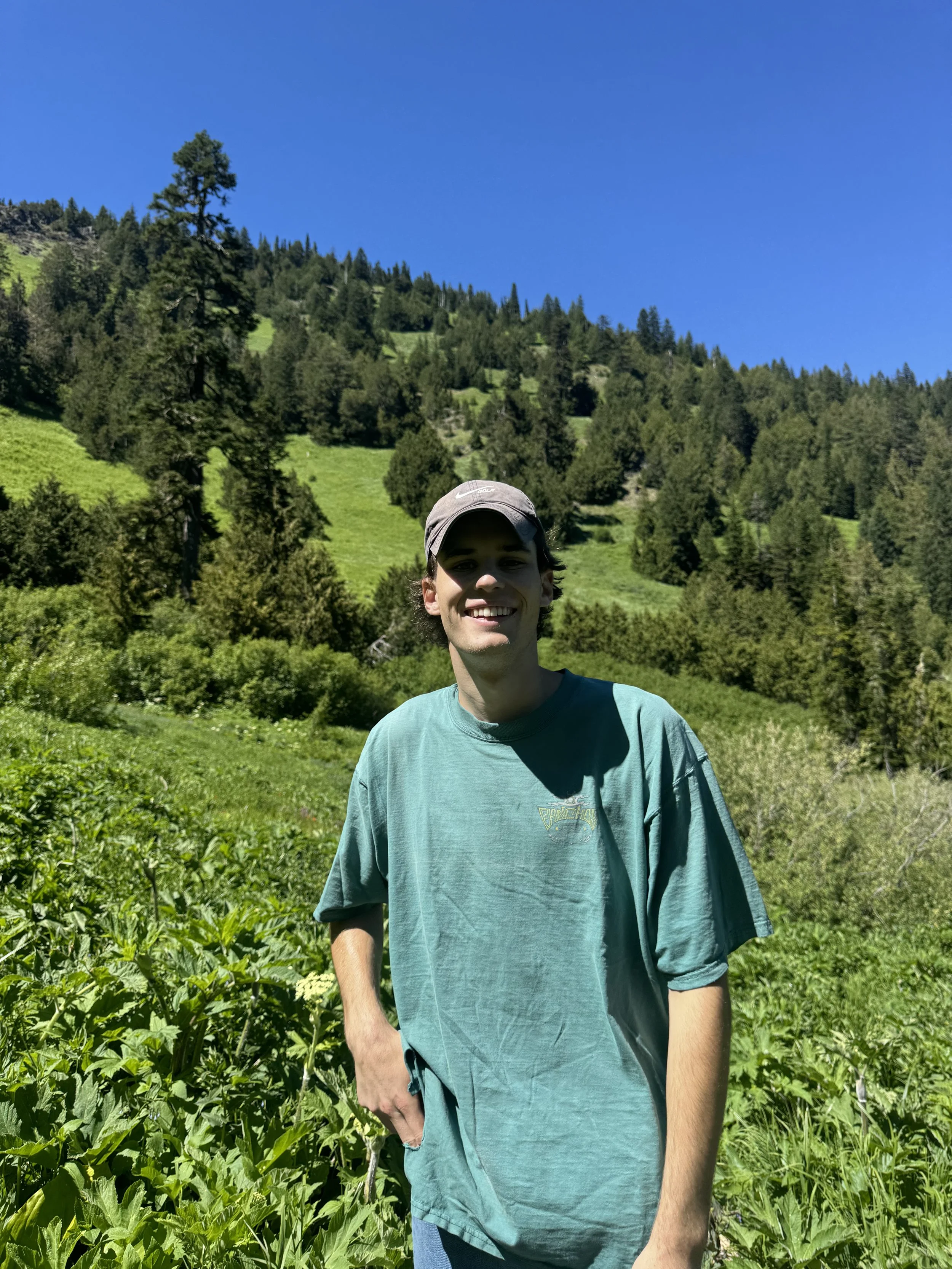 A smiling young man wearing a gray cap and turquoise T-shirt standing amidst green plants in a mountainous area under a clear blue sky.