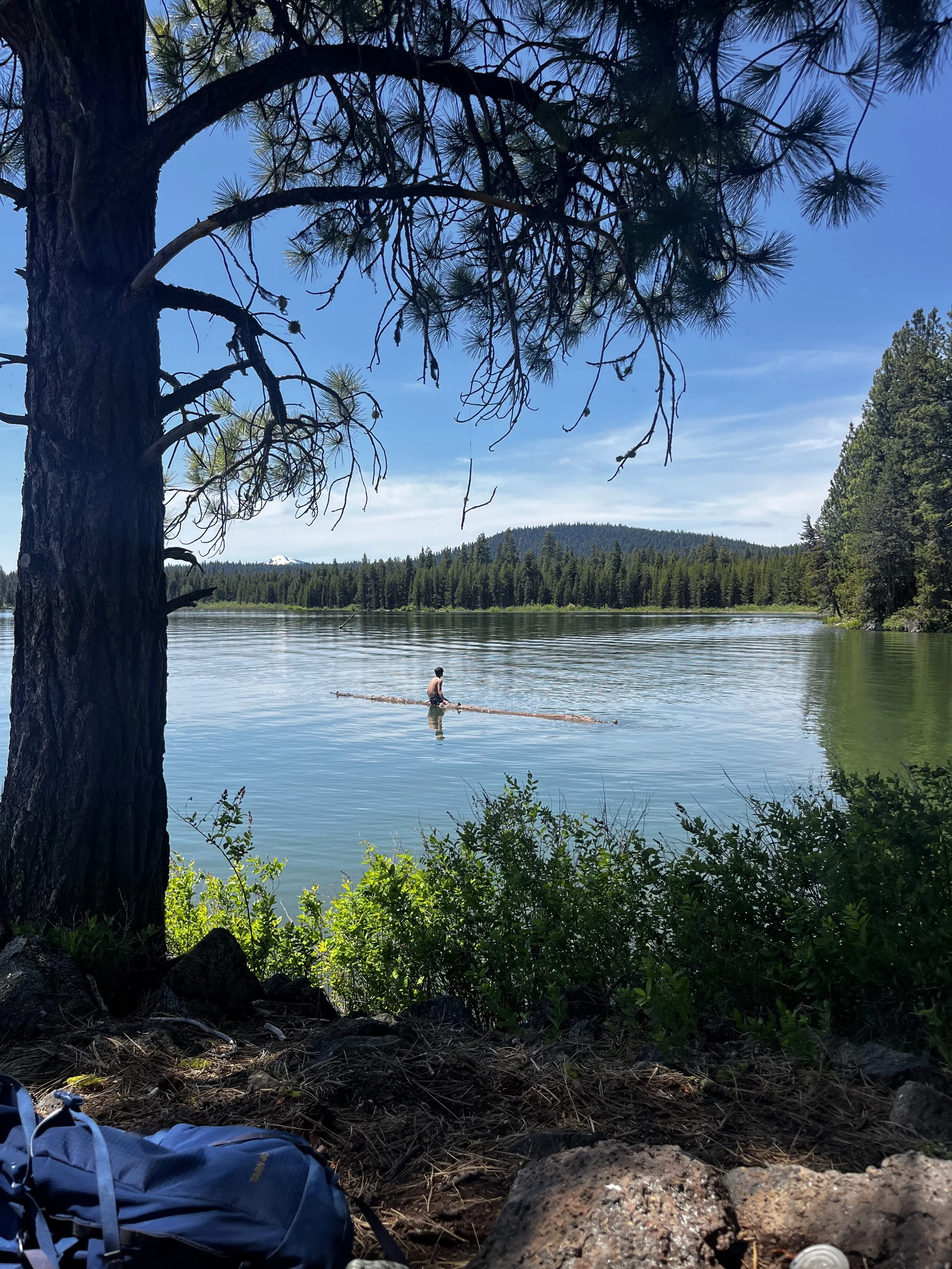 A person fishing in a calm lake surrounded by trees with a mountain in the background, under a clear blue sky.