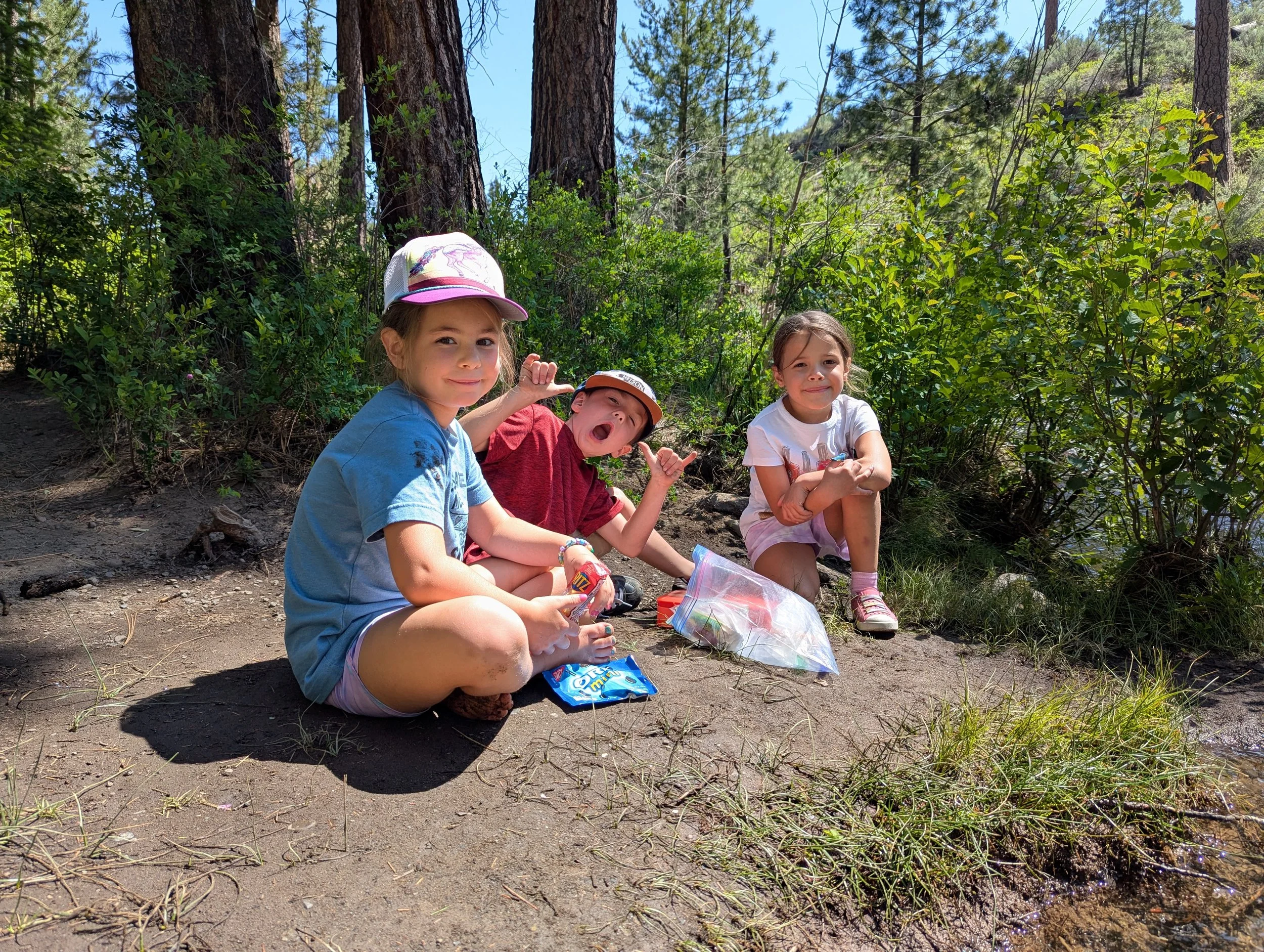 Three children sitting on the dirt near a small stream in a wooded area during daytime, with green bushes and tall trees in the background.