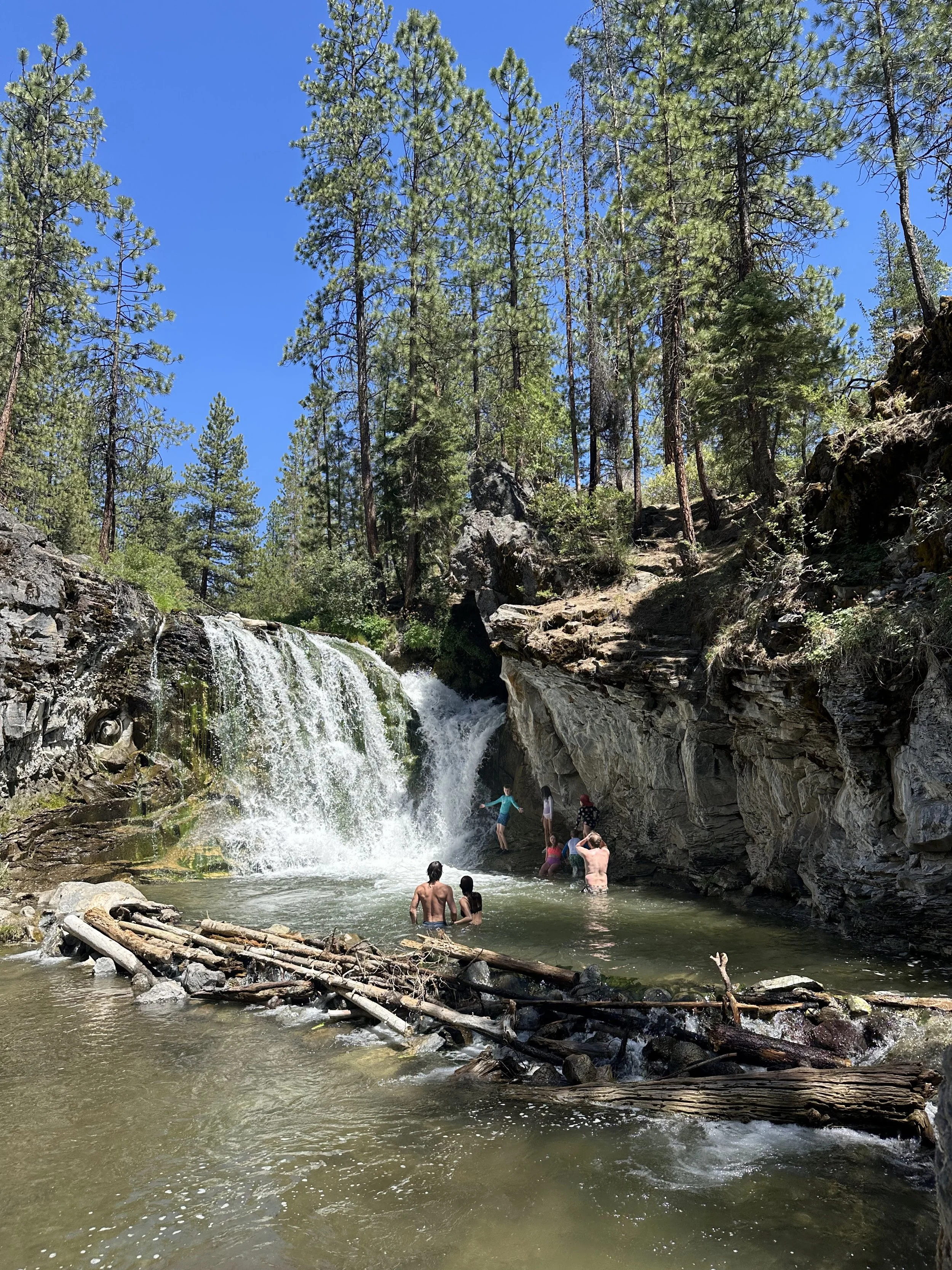 People swimming and playing in a small waterfall and river in a forest with tall pine trees and rocky terrain under a clear blue sky.