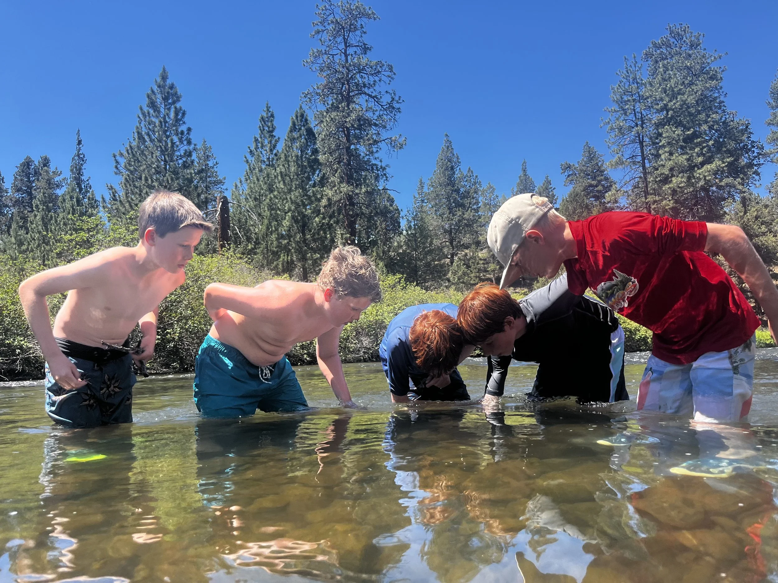 A group of five boys standing in a shallow river, with pine trees and blue sky in the background, during a sunny day.