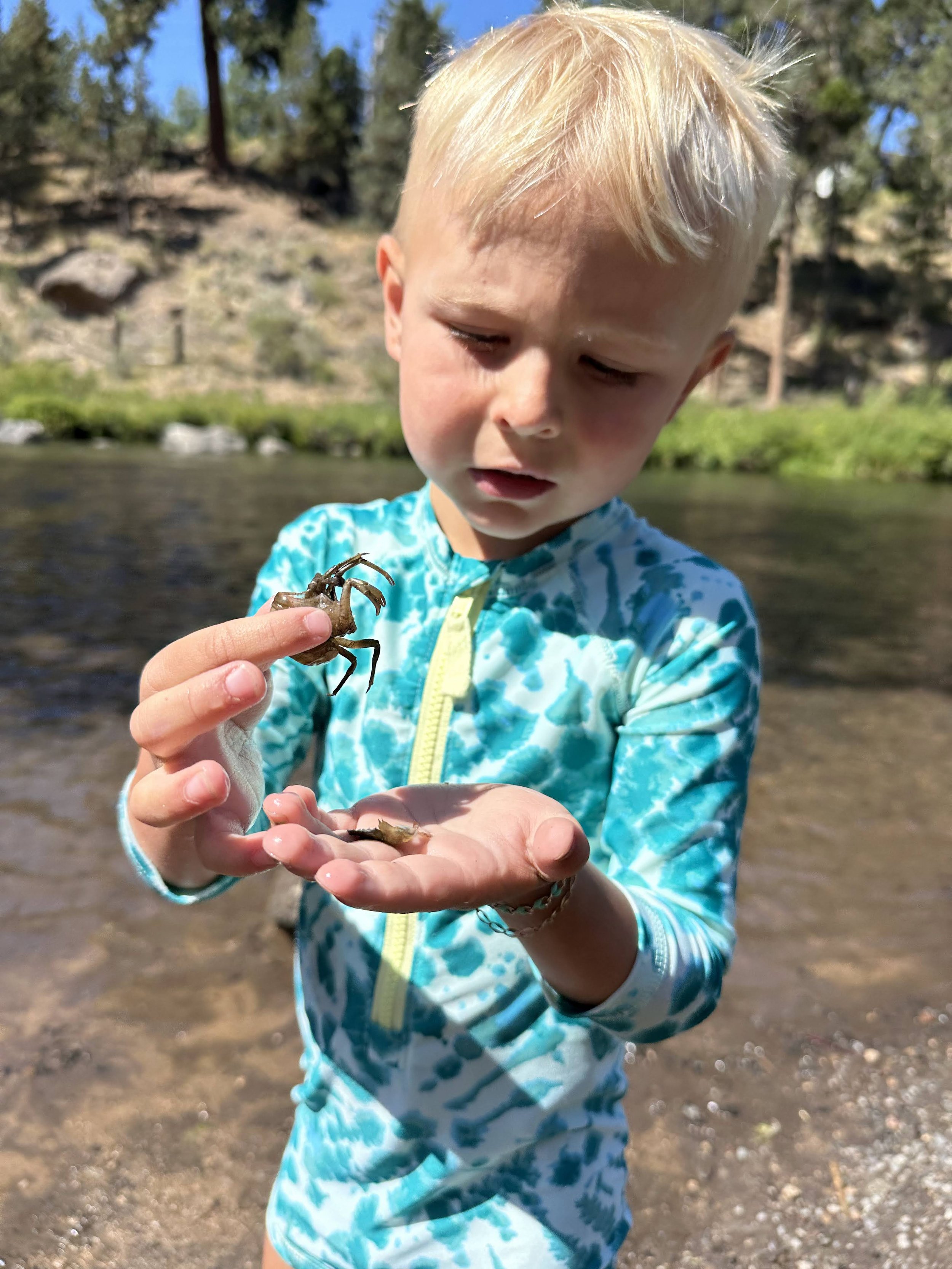 A young boy with blond hair and wearing a blue patterned jacket holds a small crab in his hands by a river with trees and rocks in the background.