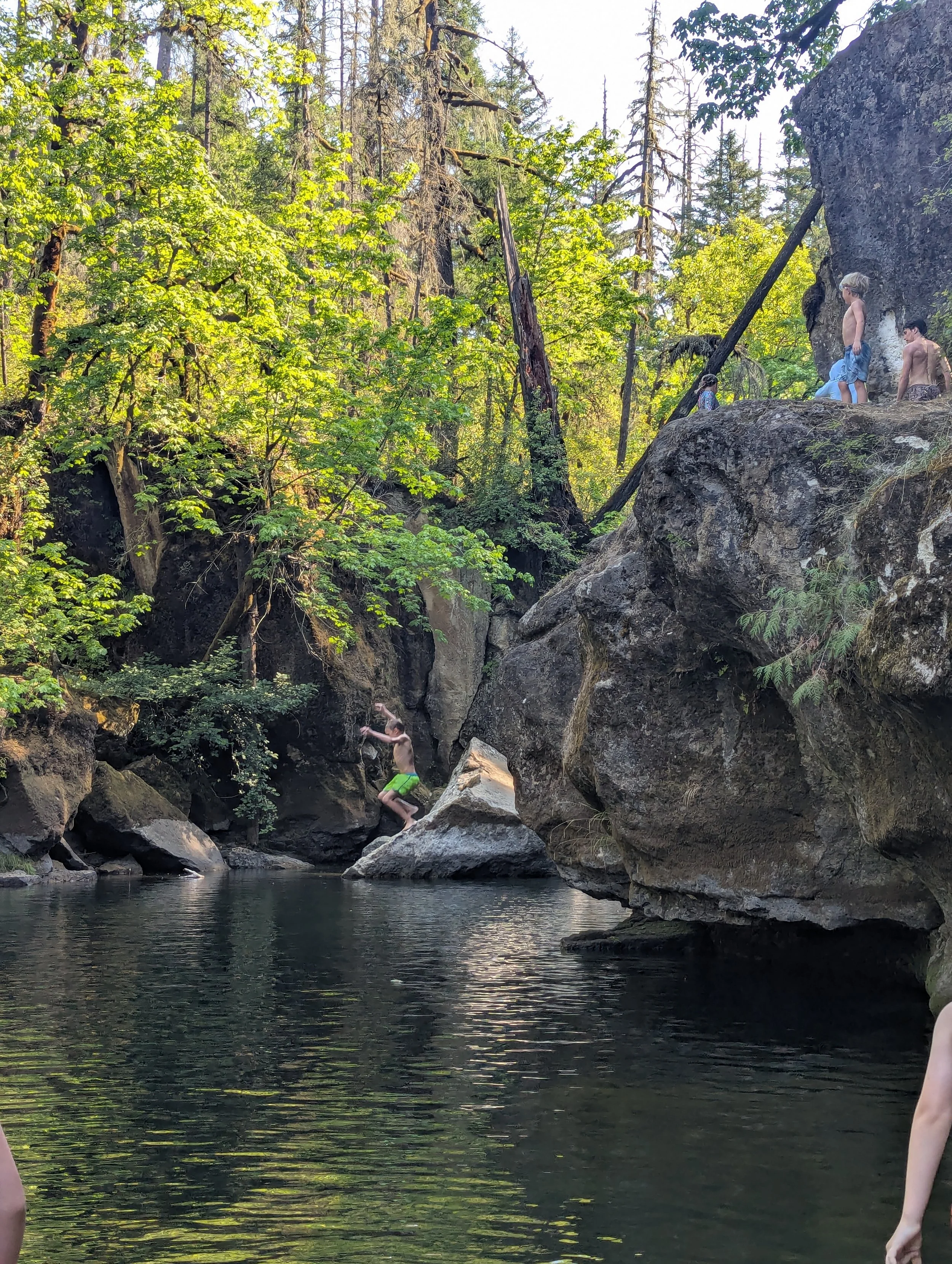 Kids jumping into a river from rocky cliffs surrounded by trees and forest.