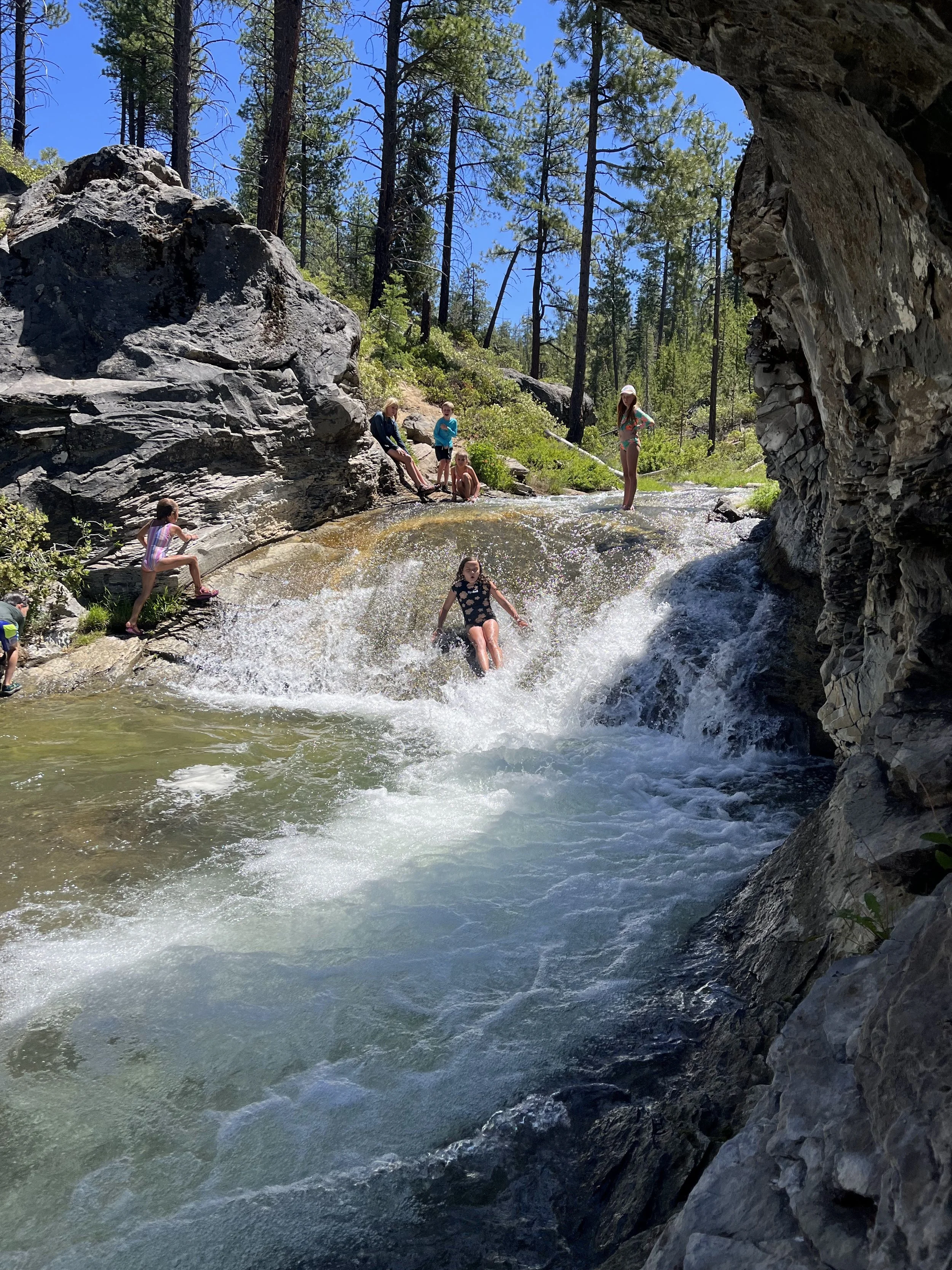 Children playing in a creek in a forested area with rocks and tall trees under a clear blue sky.