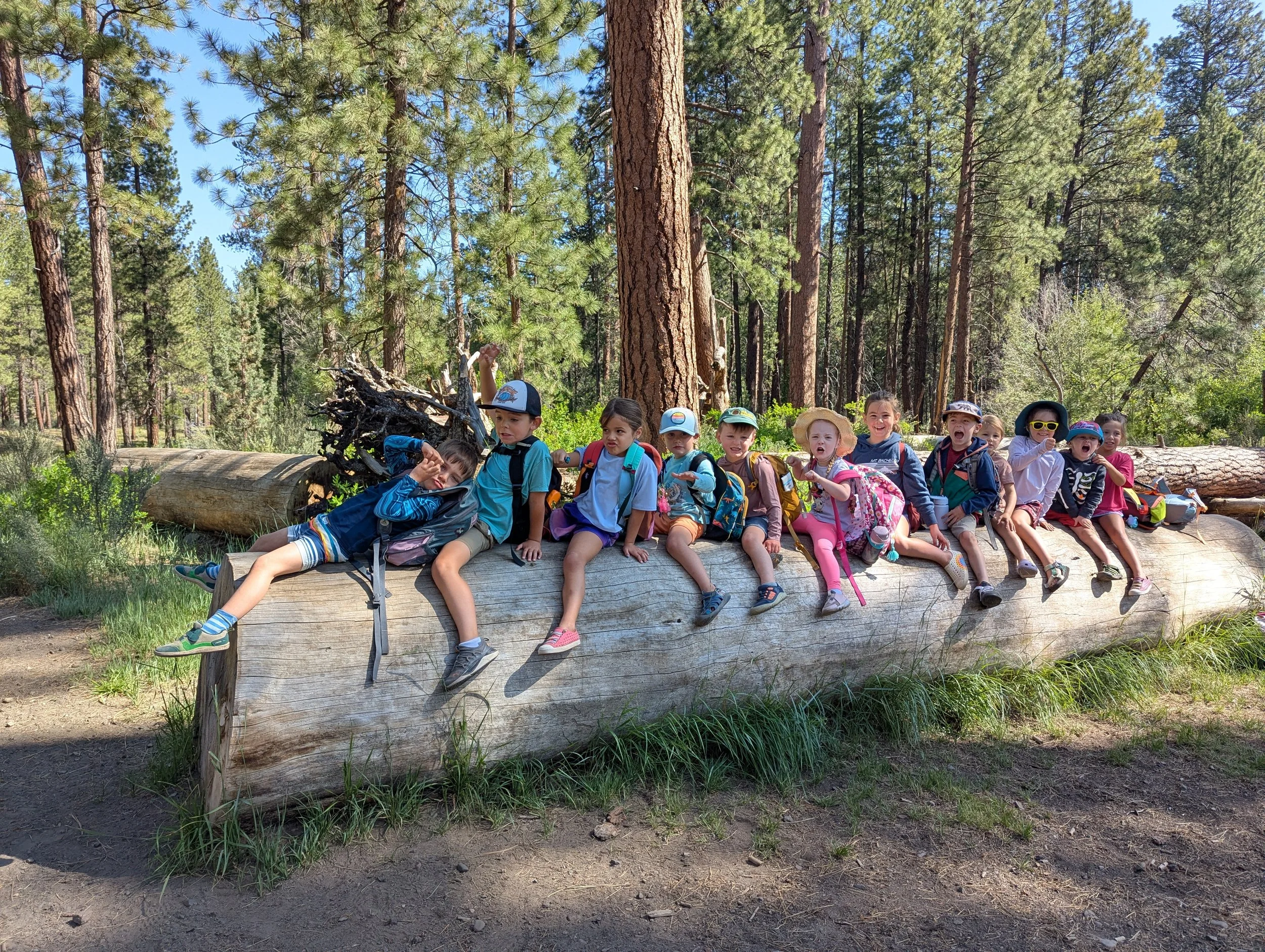 Group of children sitting on a large fallen log in a forest with tall trees and green foliage.