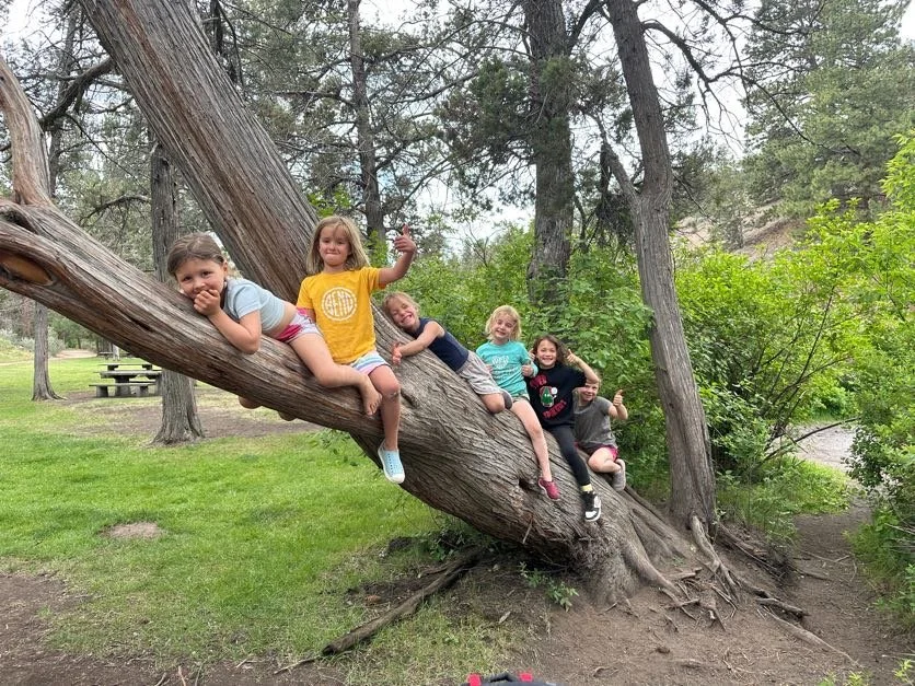 Five children lying on a large, curved tree in a park, smiling and playing.
