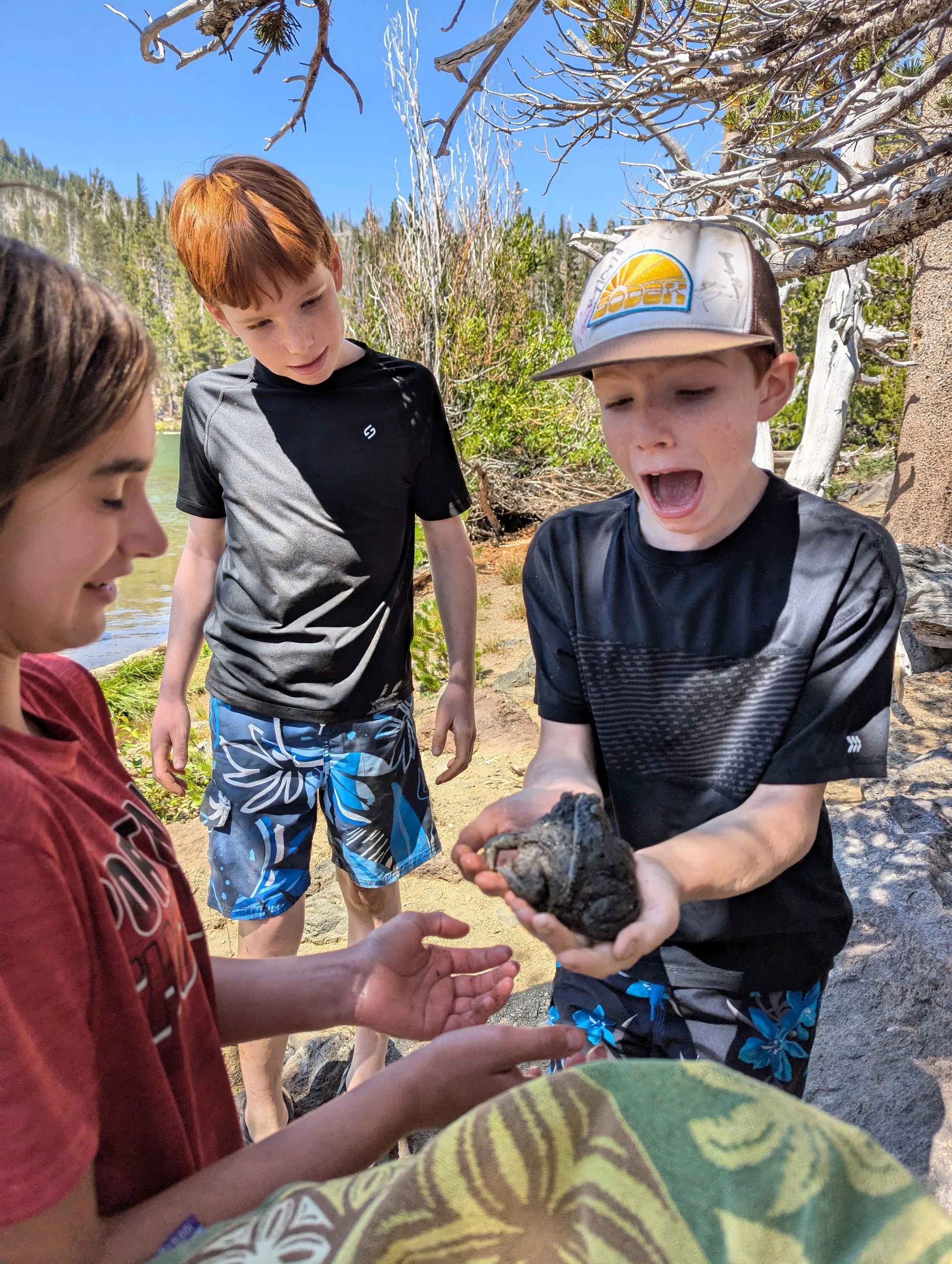Children at a lakeside holding a large, dark, textured rock or similar object, with trees and a clear blue sky in the background.