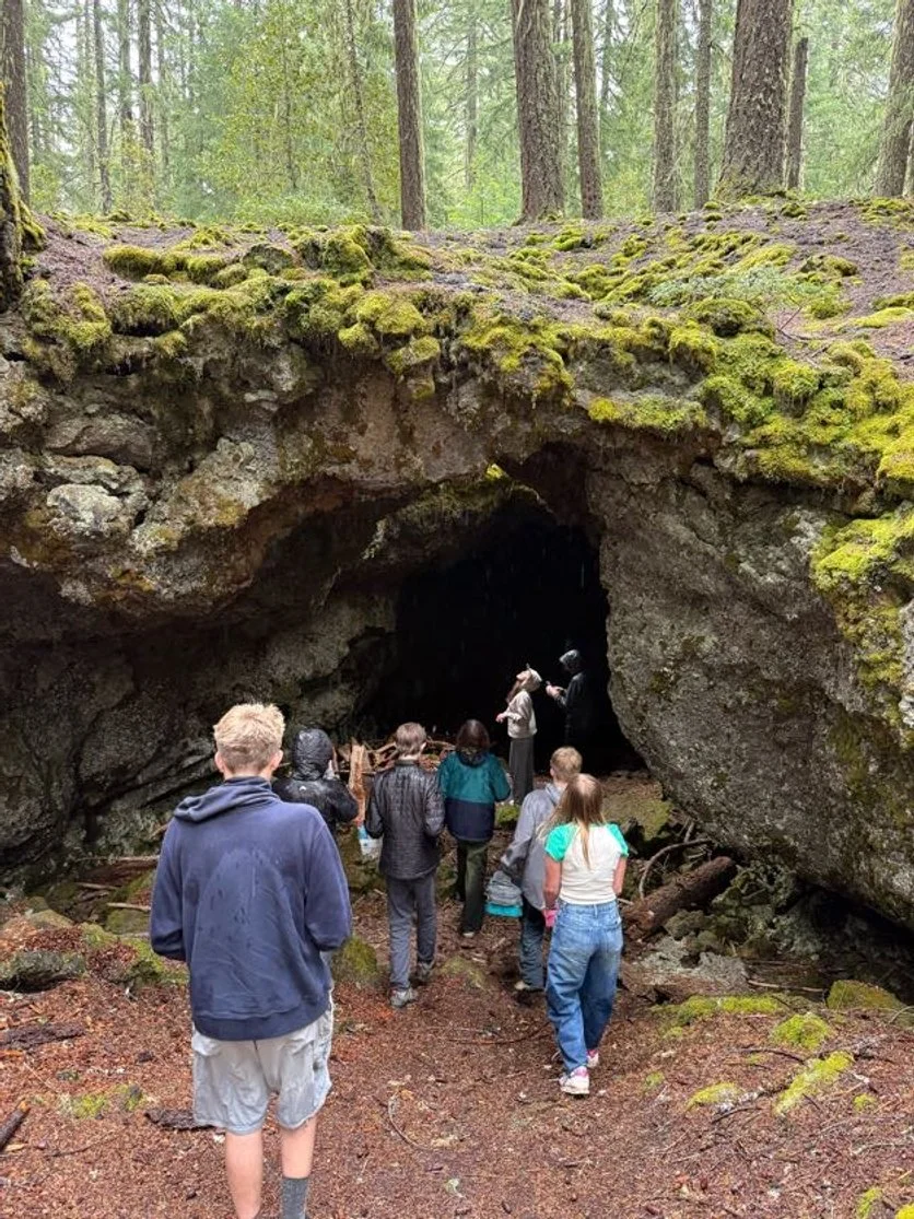 Group of people visiting a cave in a moss-covered forest with tall trees.