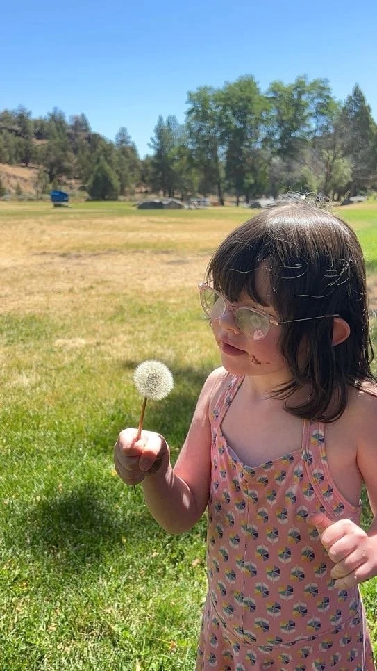 A young girl with dark hair and glasses holding a dandelion in a grassy field on a sunny day.