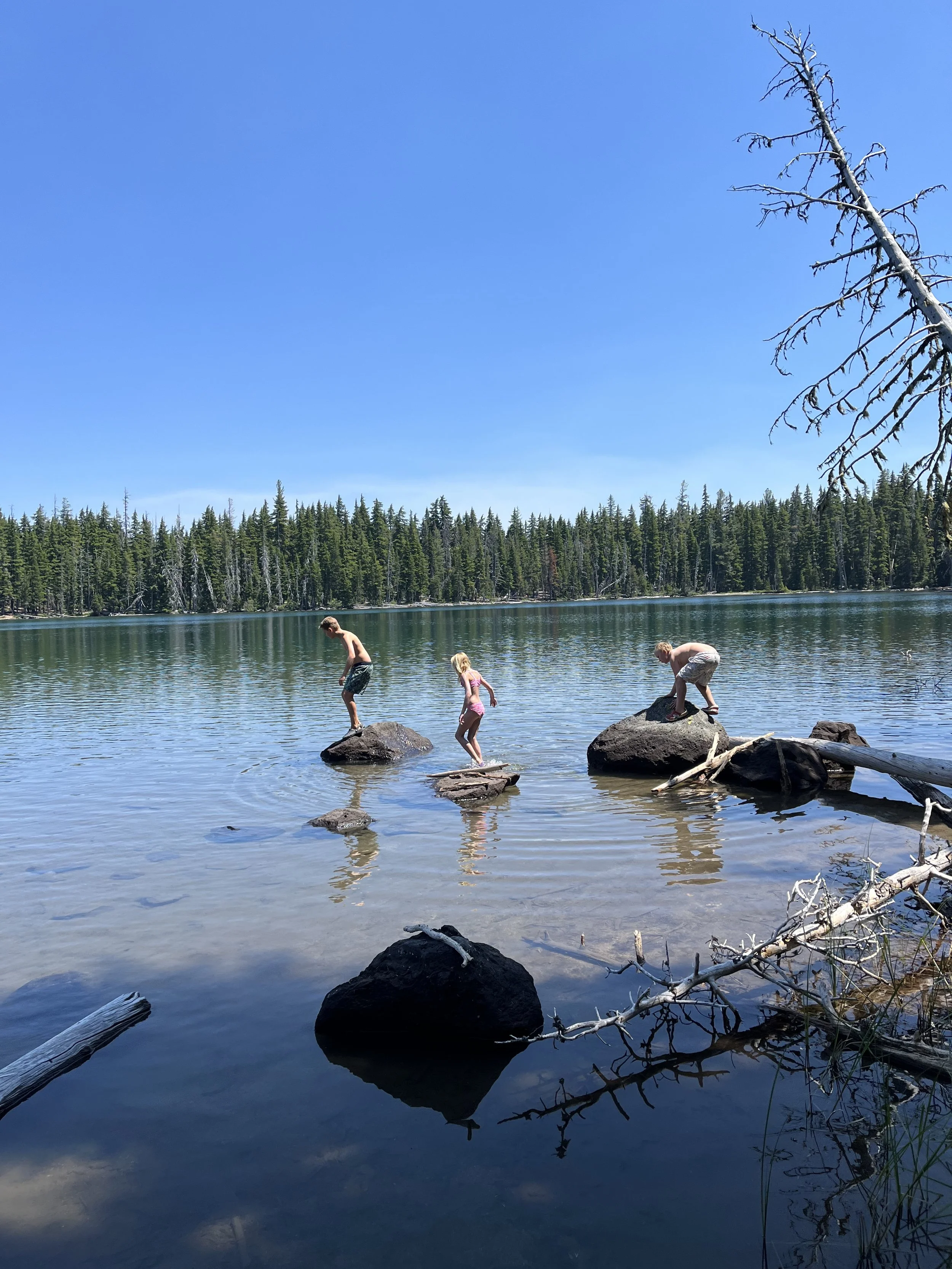 Three children playing on rocks in a lake surrounded by pine trees and blue sky.
