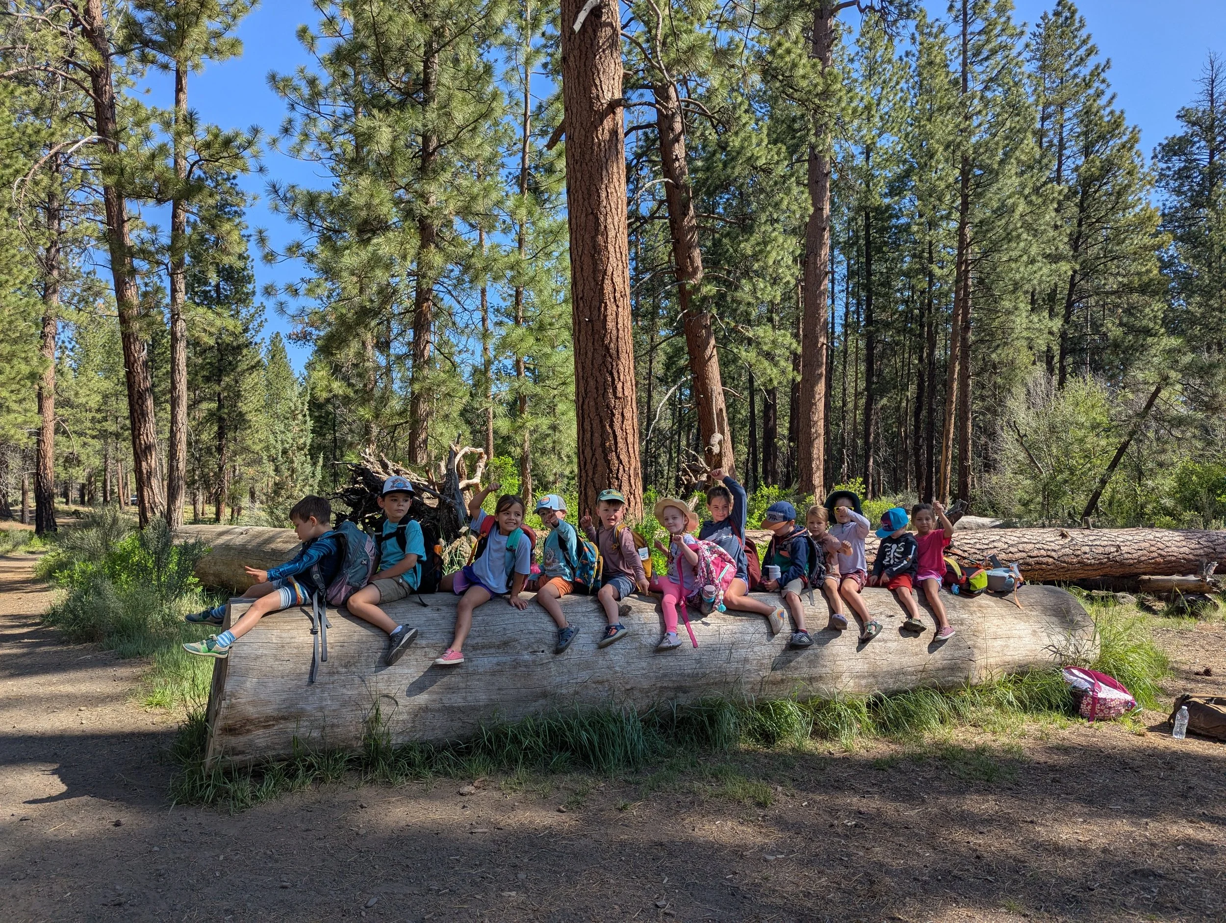 A group of children sitting on a large fallen log in a forest with tall trees and a clear blue sky.