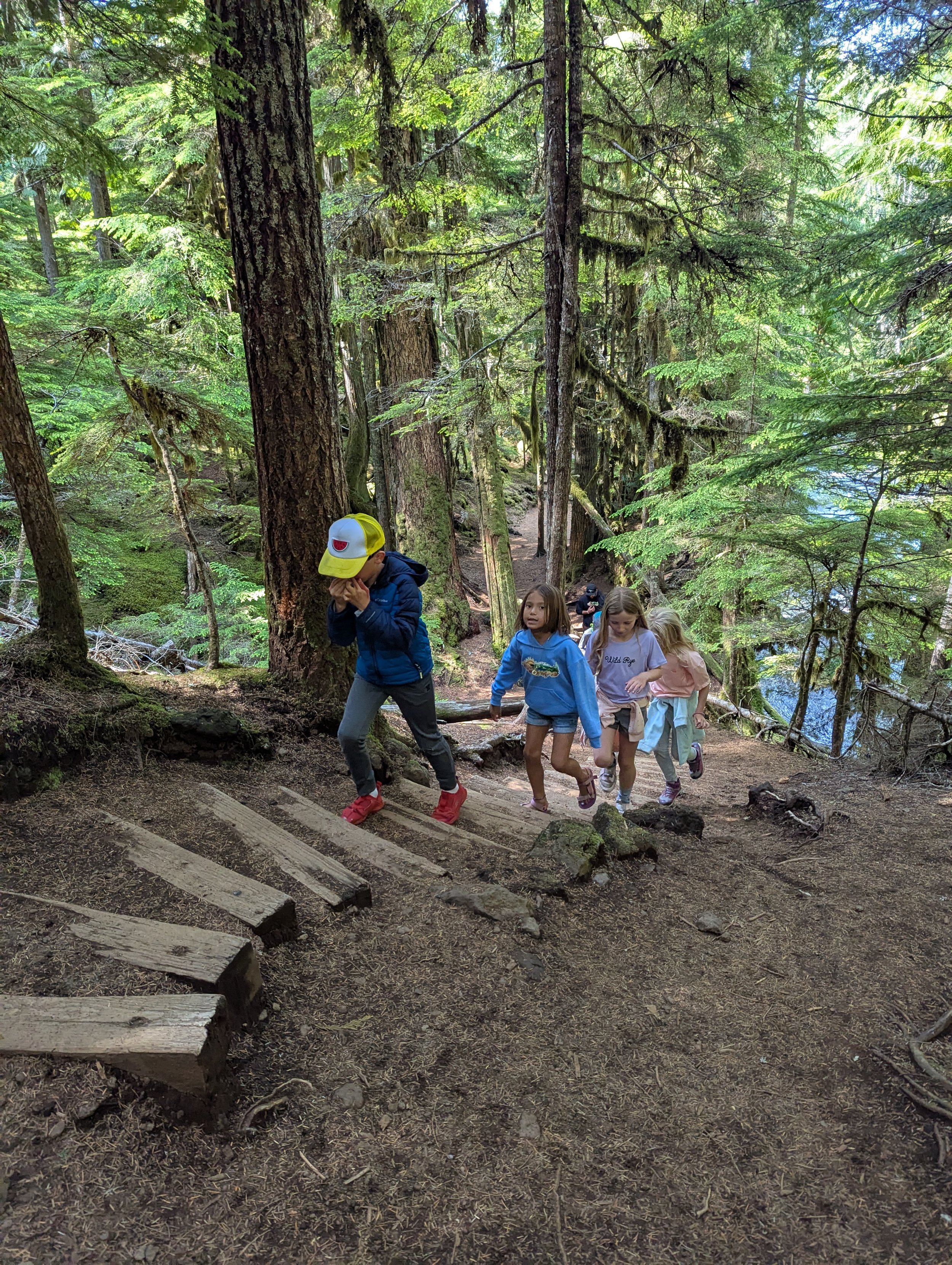 Children hiking up a forest trail with trees and greenery around.