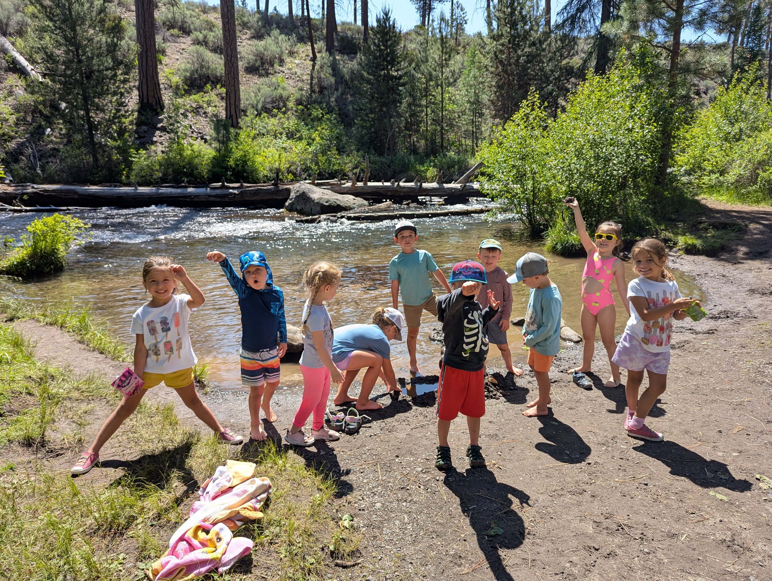 Children playing by a creek in a forested outdoor setting on a sunny day.