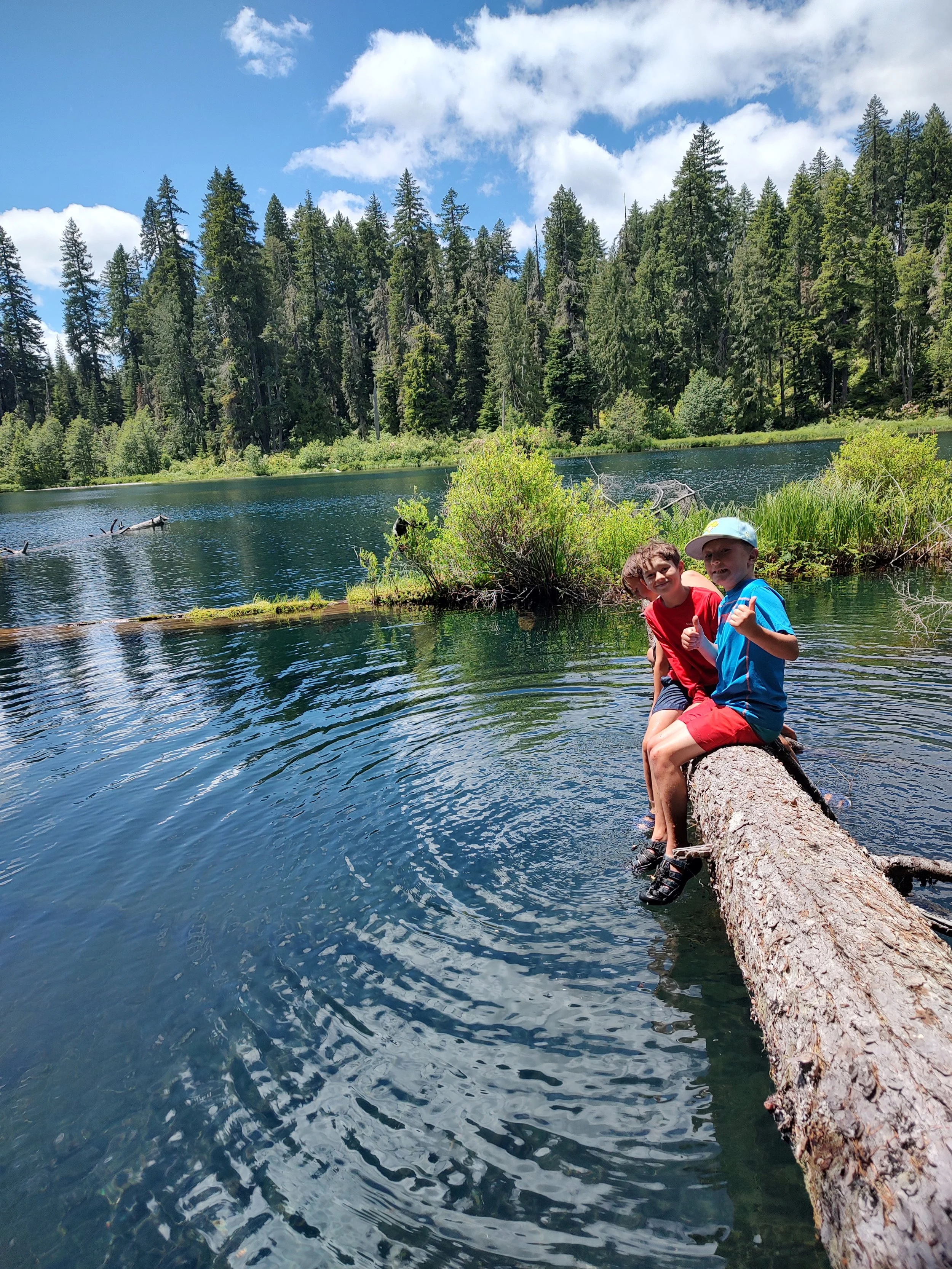 Two young boys sitting on a fallen tree trunk in a lake surrounded by pine trees and greenery, with a blue sky and clouds overhead, smiling and making fists.