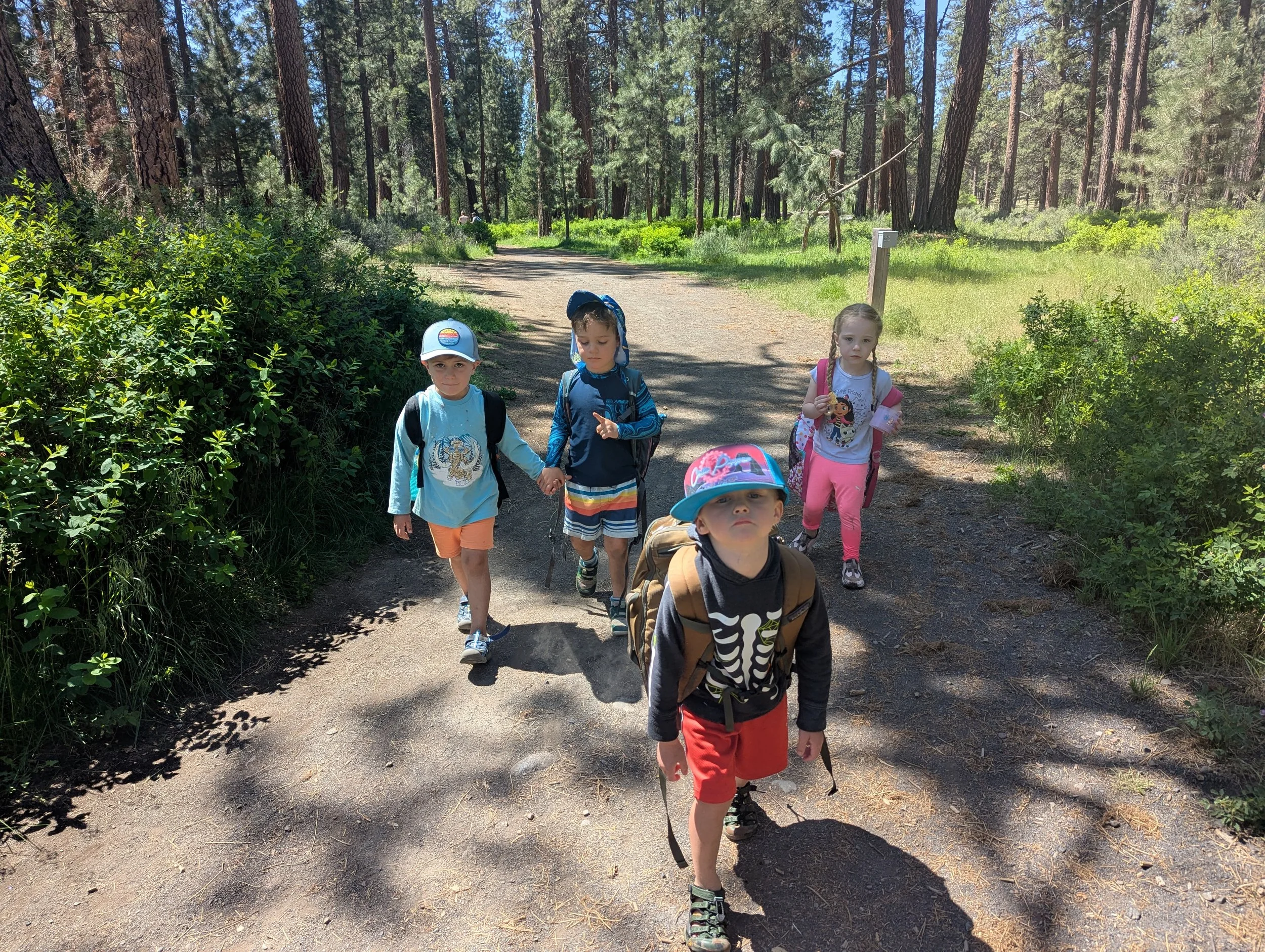 Group of young children walking on a forest trail, carrying backpacks and holding hands