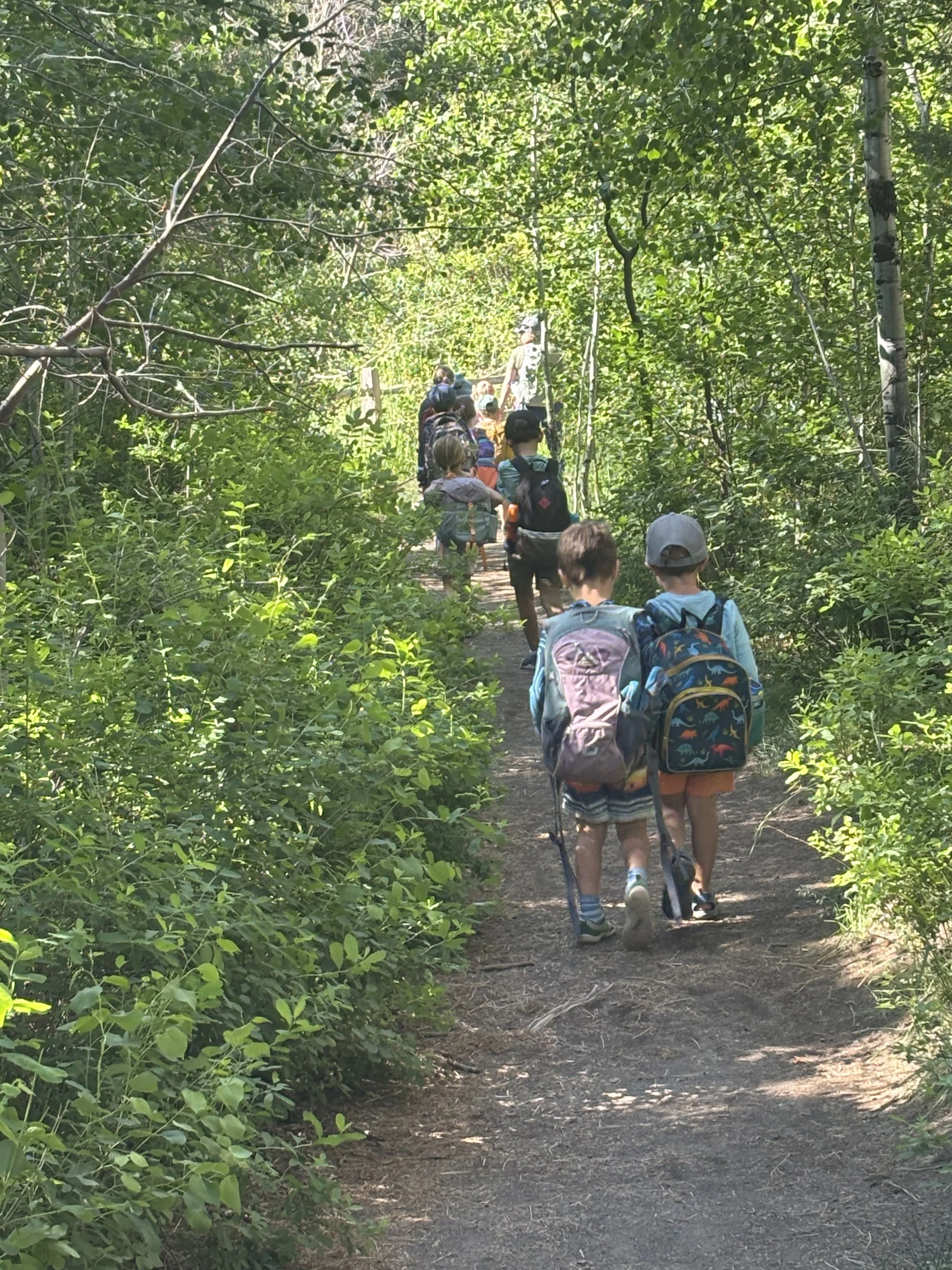 A group of children wearing backpacks and hats, walking along a forest trail surrounded by green foliage.