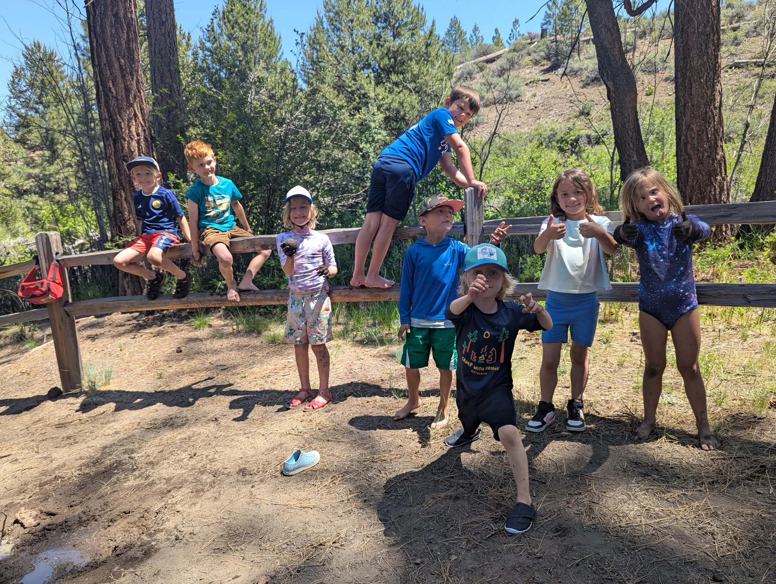 Group of children posing outdoors in a wooded area, some sitting on a wooden fence and others standing or climbing on it, under a clear blue sky.
