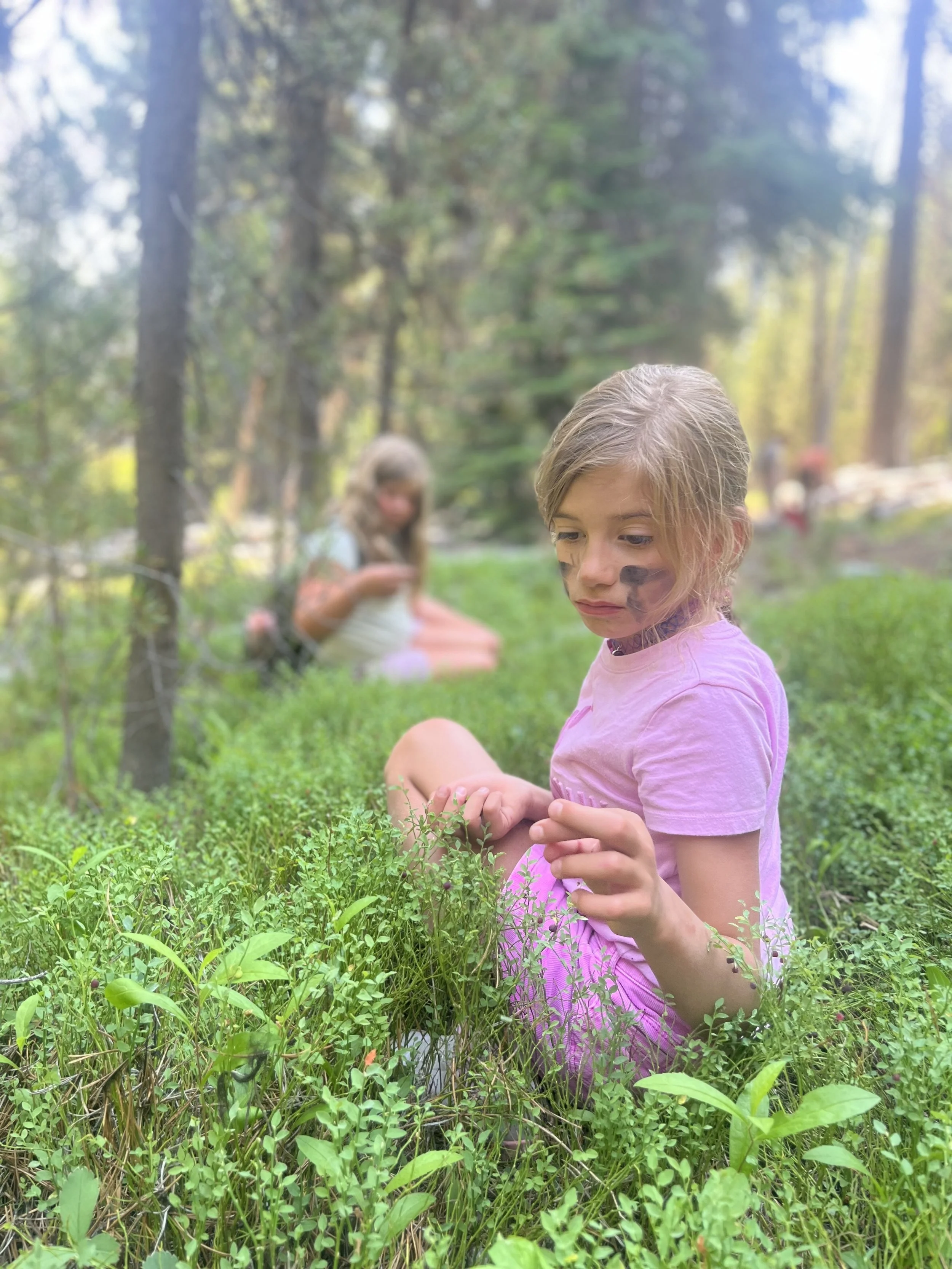 Two young girls sitting in a lush outdoor, wooded area with tall trees. The girl in the foreground has blonde hair, wearing a pink shirt, with face paint and is looking down at the greenery. The girl in the background has brown hair, wearing a light-