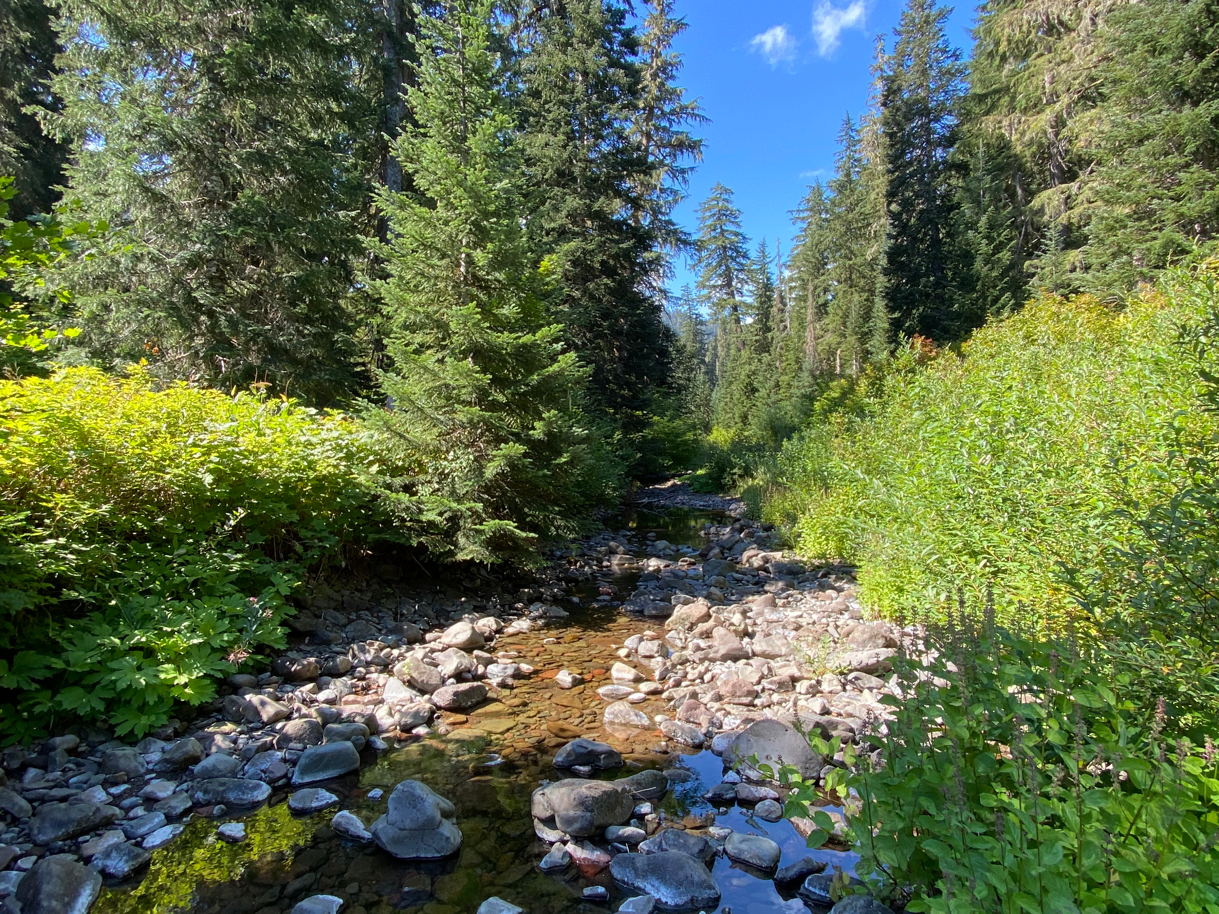 Top 5 Family-Friendly Activities in Bend, Oregon