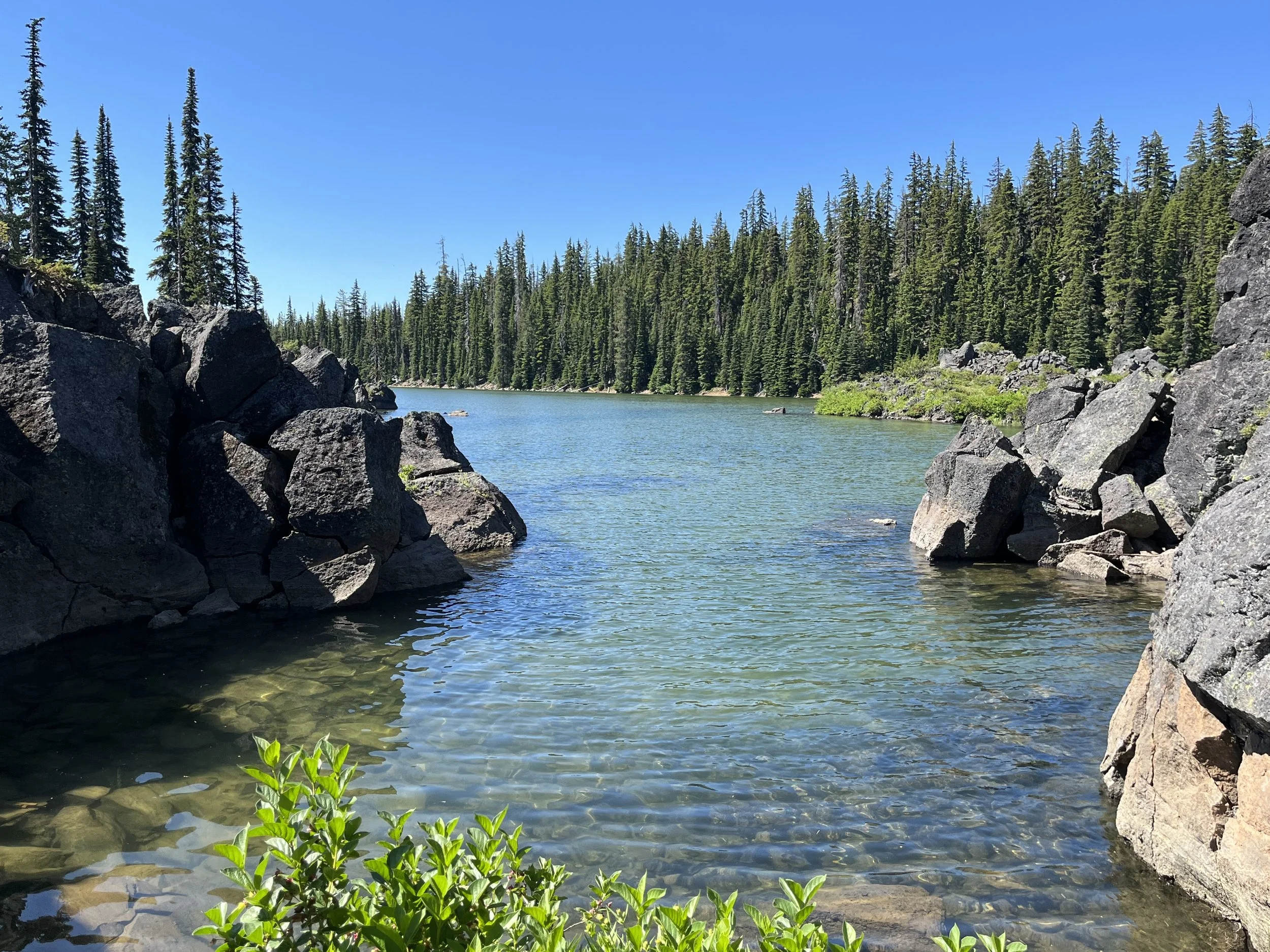 A lake with clear water surrounded by rocks and evergreen trees, with a bright blue sky above.