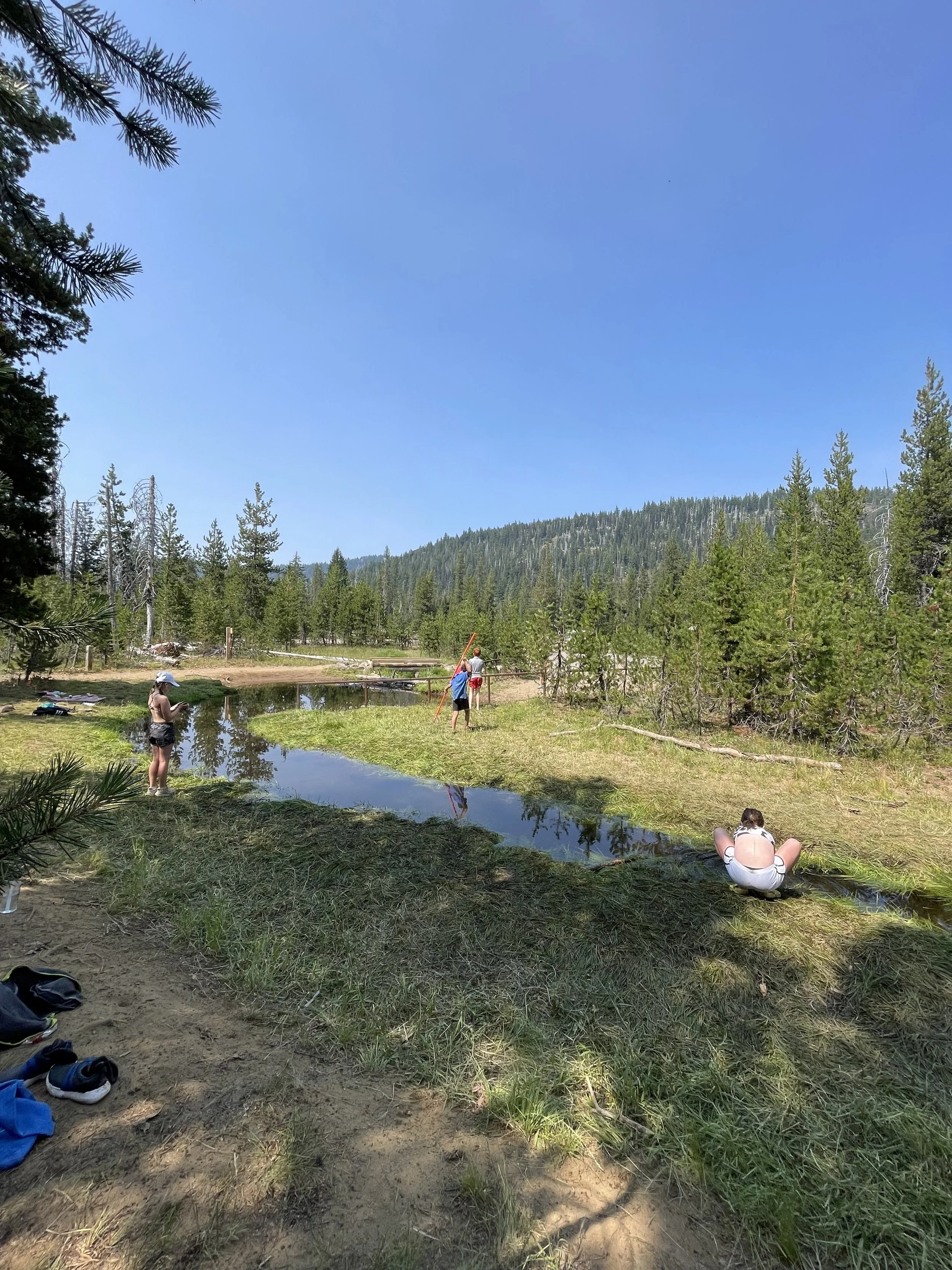 People on a grassy bed by a small pond in a forested area with mountains in the background on a sunny day.