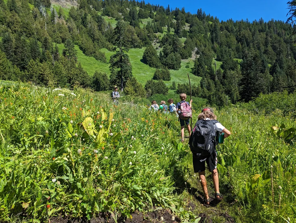 Campers hiking through a green mountain meadow in Central Oregon