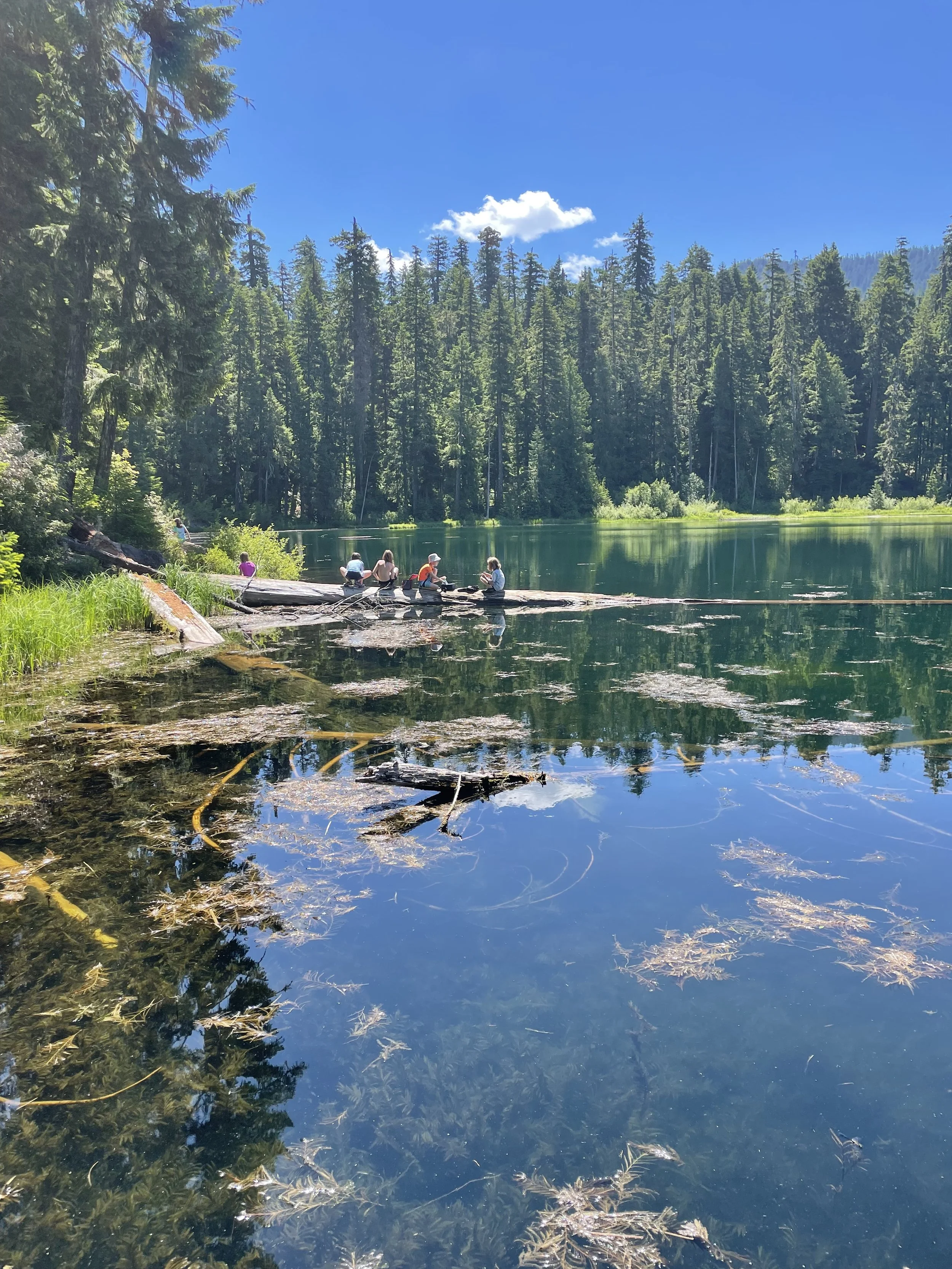 People sitting on logs at the edge of a calm lake surrounded by dense evergreen trees on a sunny day.