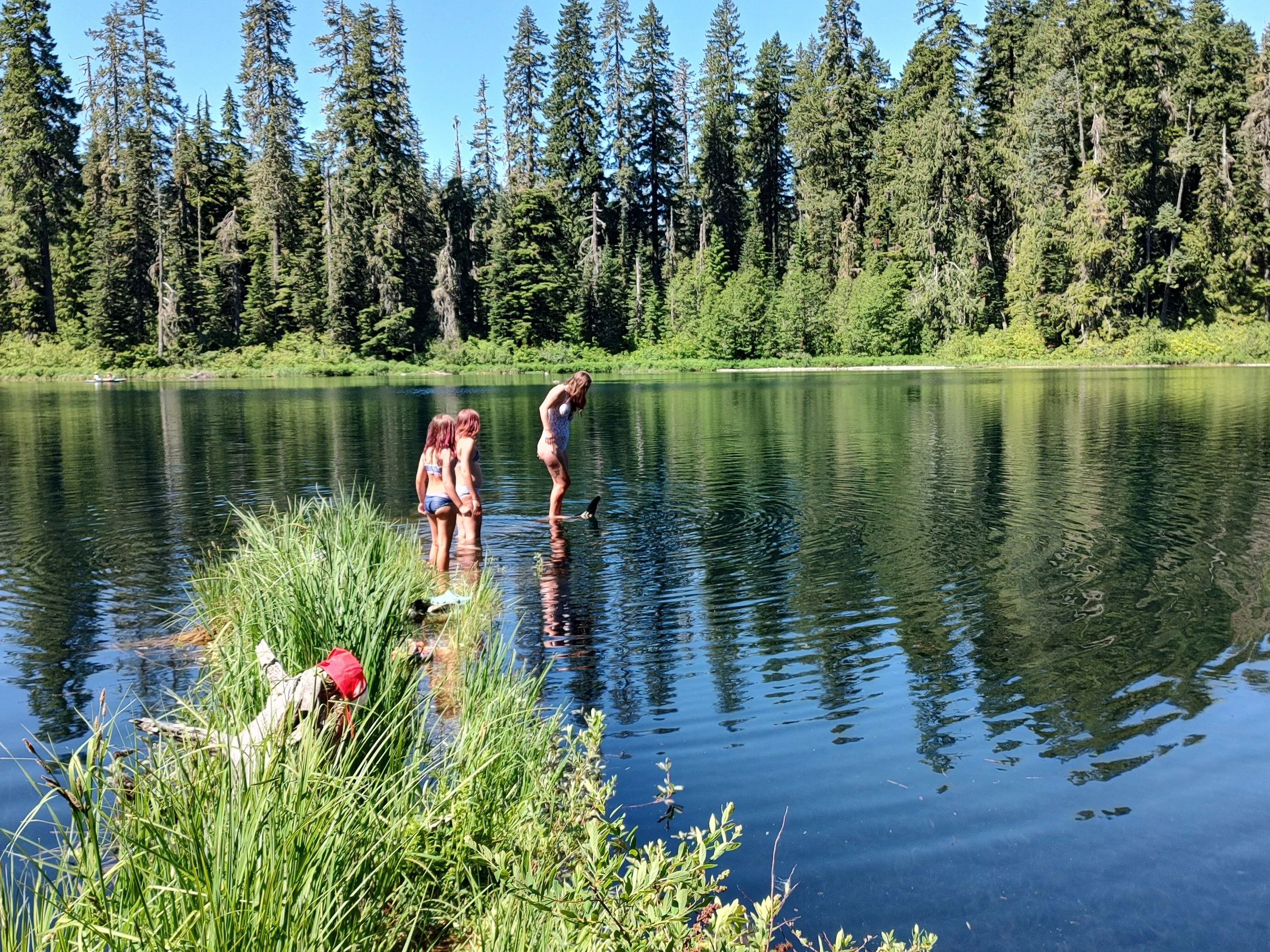 Three young girls stand in a body of water, with two of them looking at the third who is on a surfboard, surrounded by lush green trees on a sunny day.
