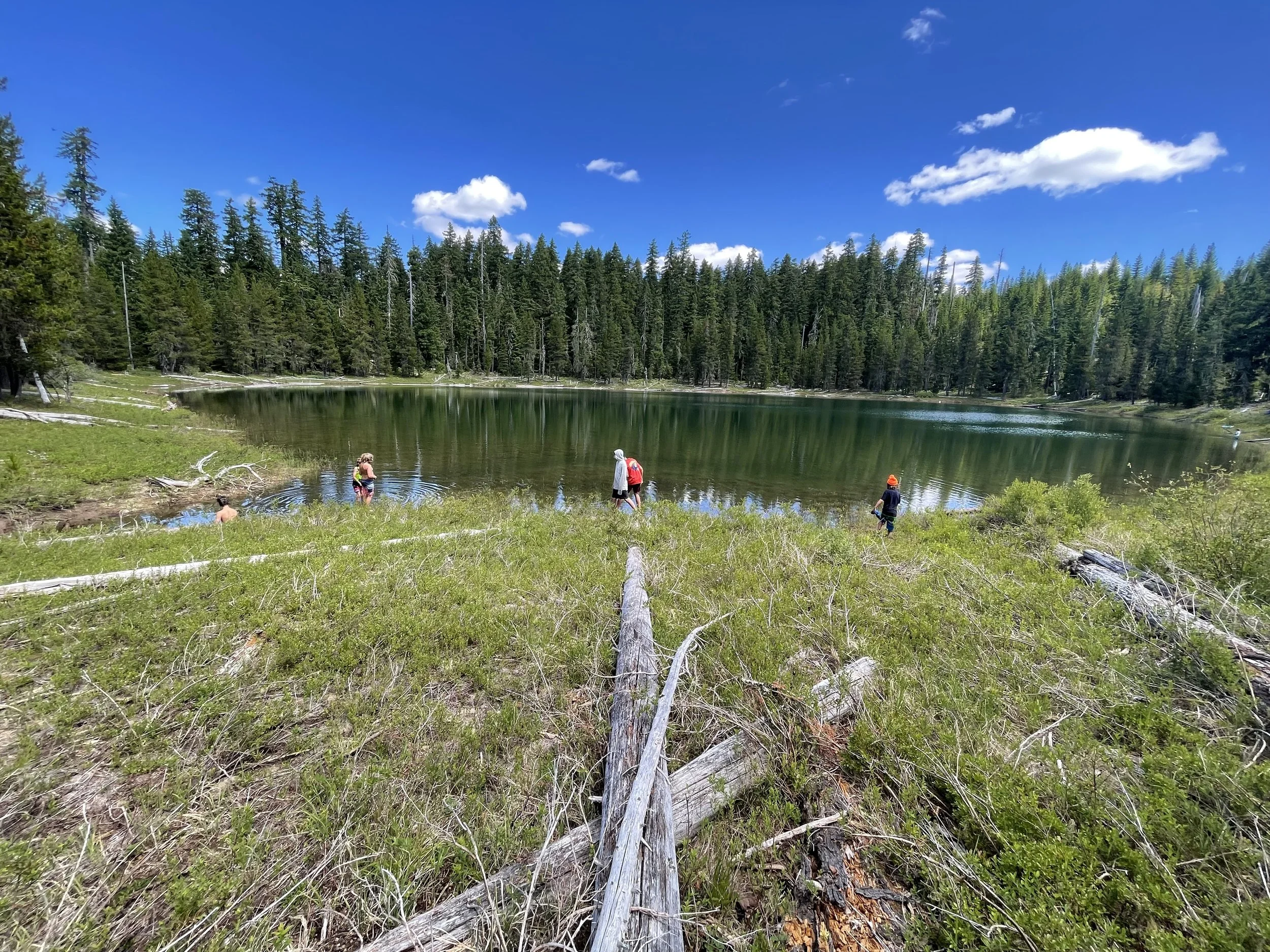 People hiking by a lake surrounded by pine trees on a sunny day.