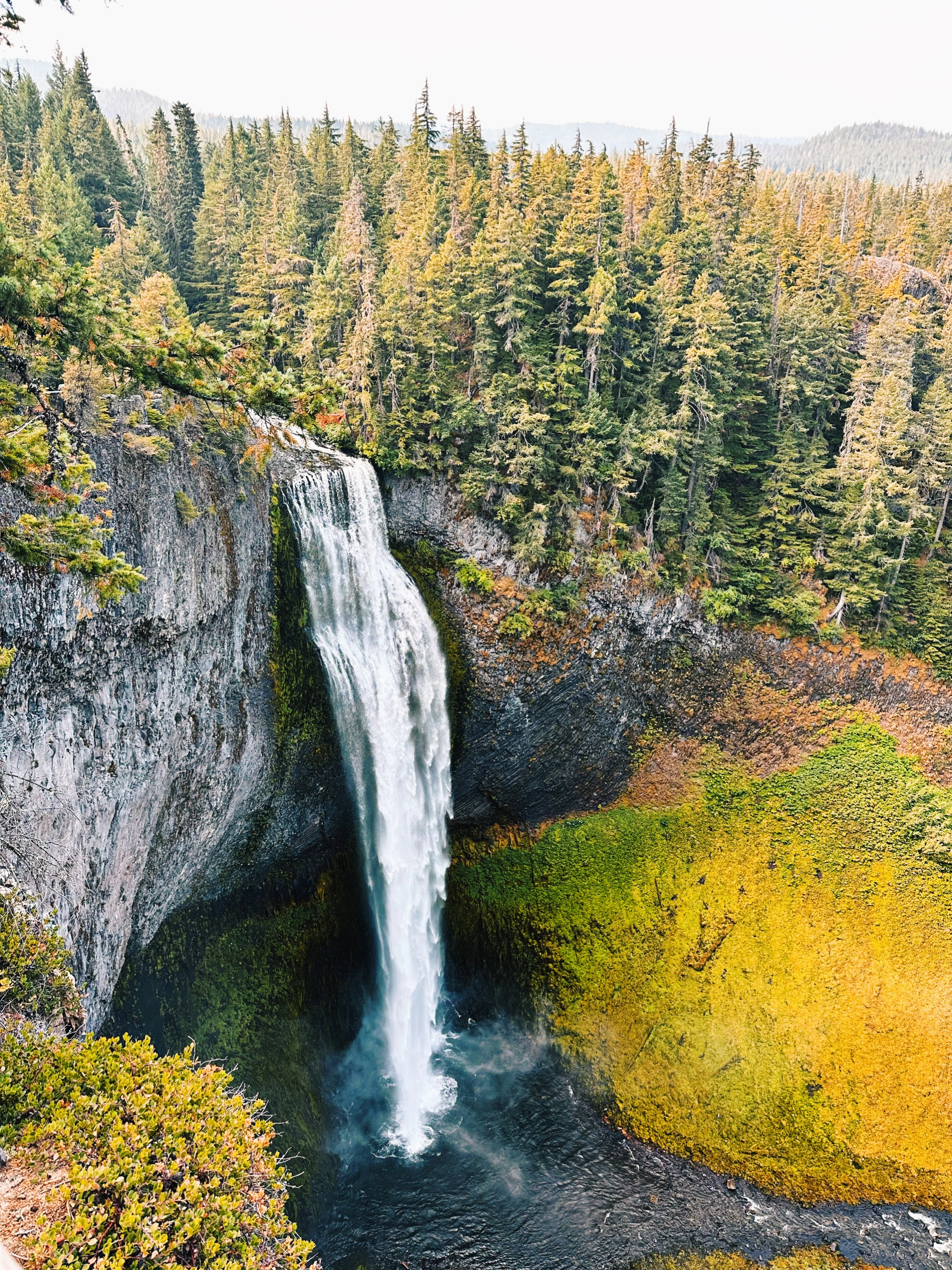 A waterfall flowing down a steep cliff surrounded by dense evergreen trees and lush green forest.