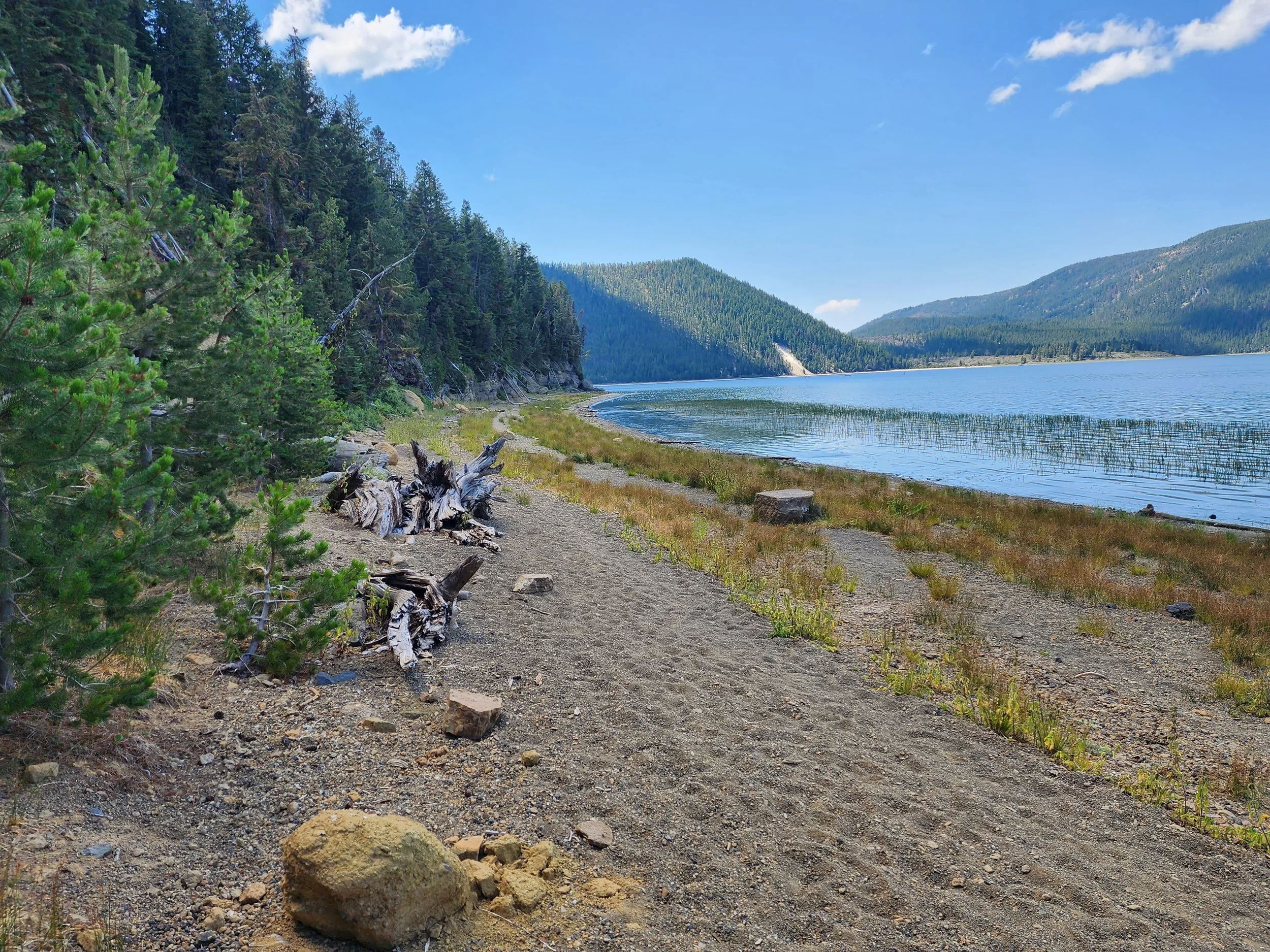 A dirt trail along a lake with tall green trees on the left and hills in the background under a blue sky.