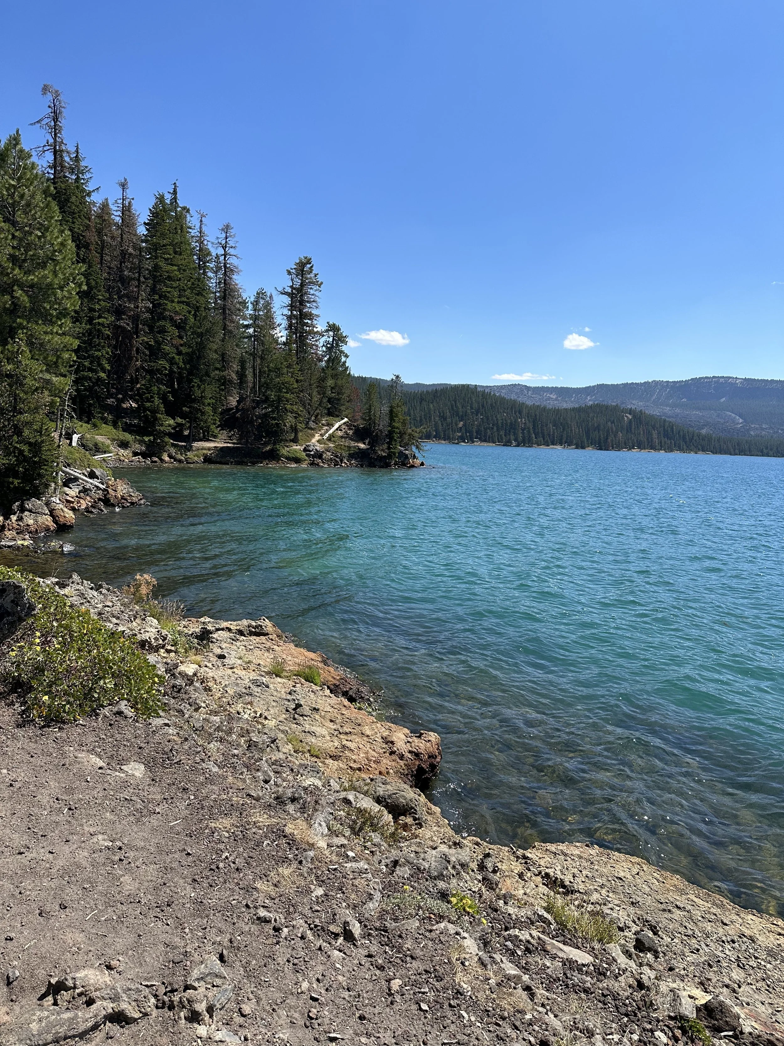A lake surrounded by pine trees with a rocky shore under a clear blue sky with a few small clouds.