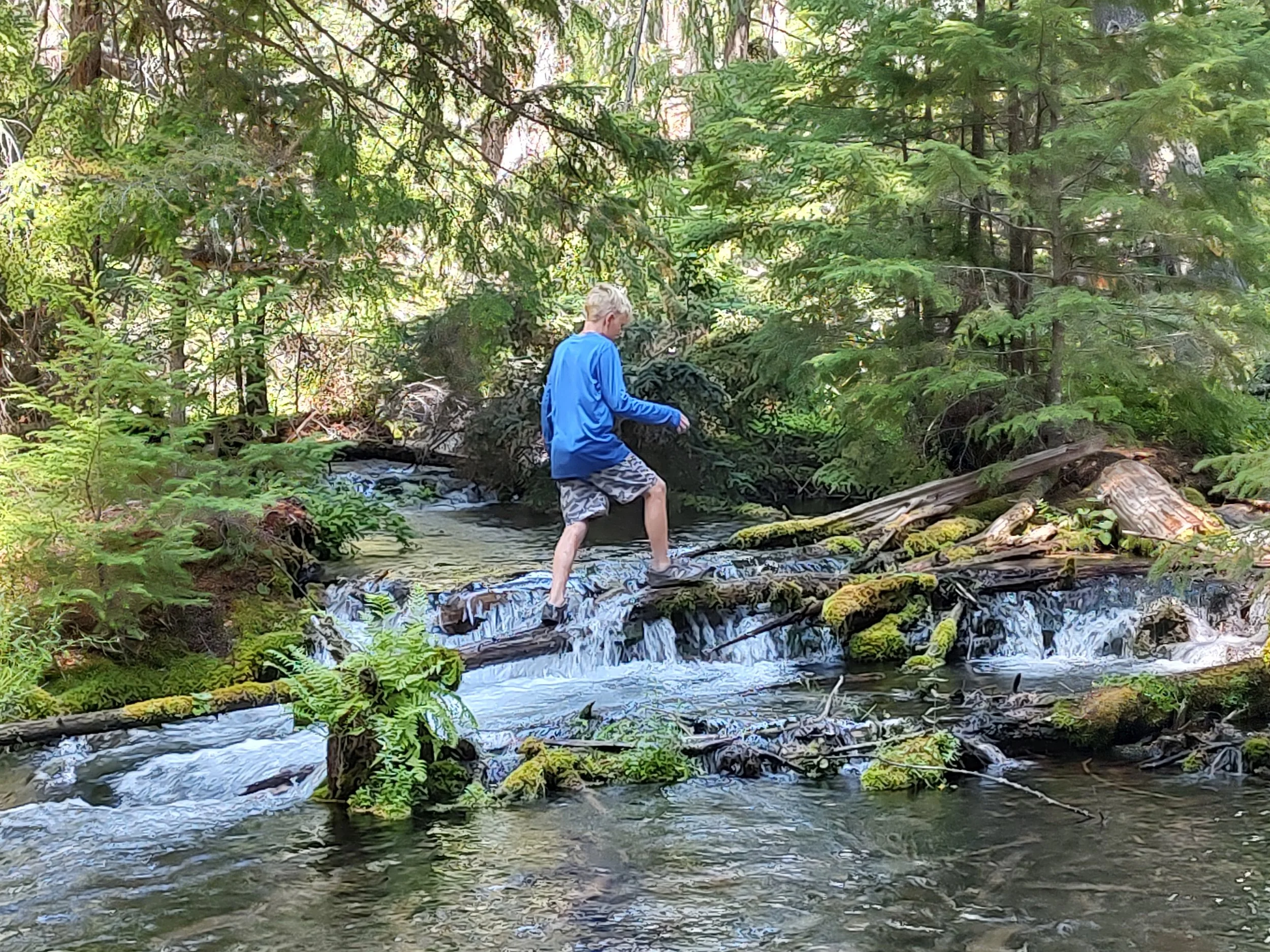 A young boy in a blue sweatshirt and shorts crossing a small waterfall in a forested area.