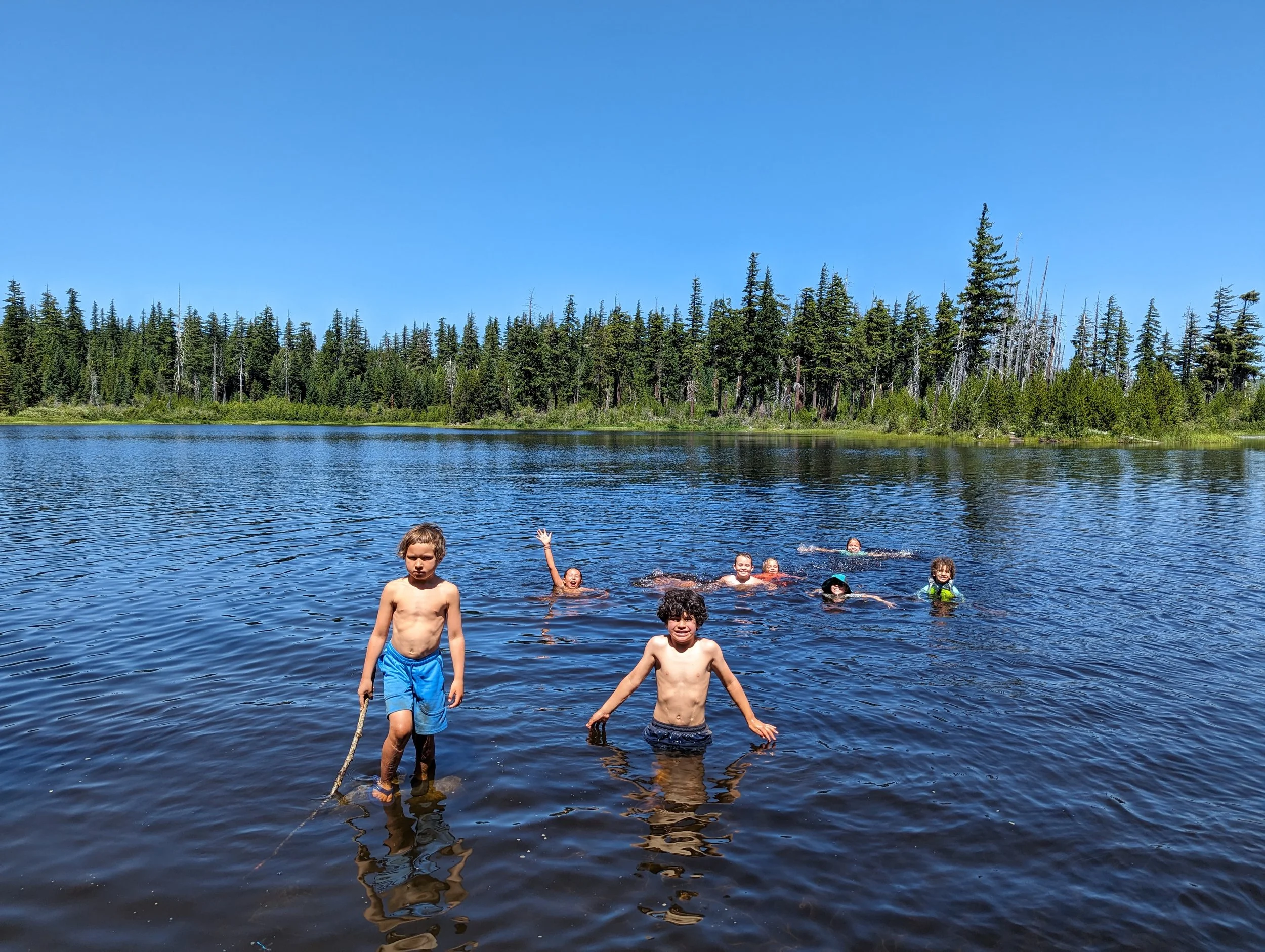 Group of children swimming and wading in a lake with forest and mountains in the background under a clear blue sky.