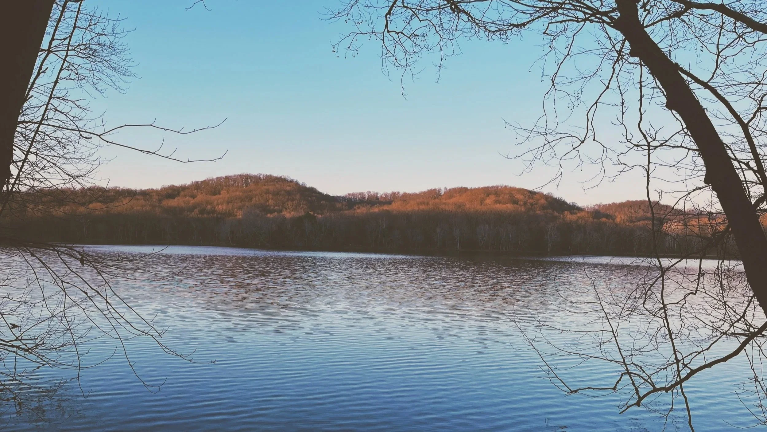 Located in Nashville - Accurate books, bookkeeping, and clean up work