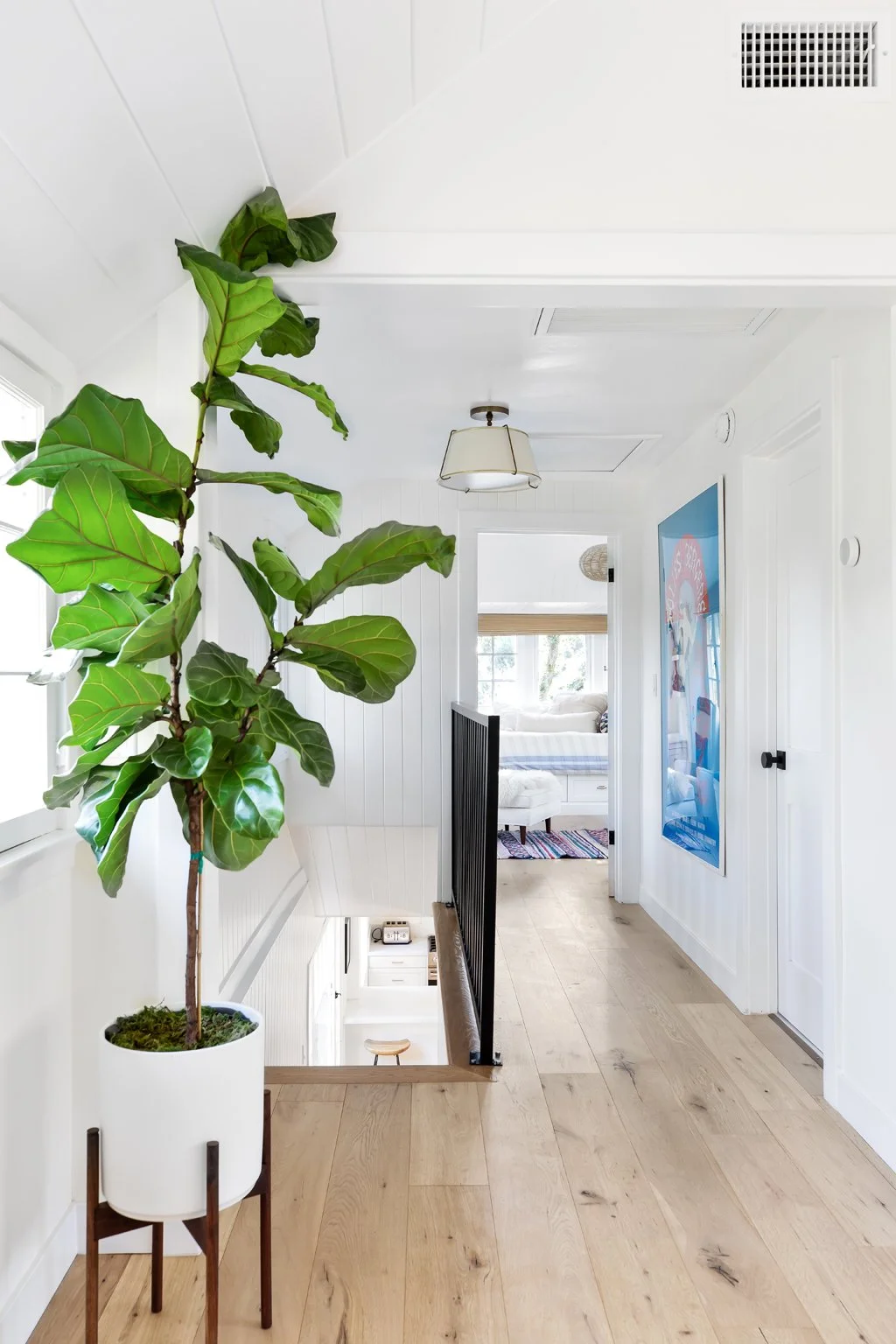 Interior of a bright, white hallway with a large potted fiddle leaf fig plant on the left, a ceiling light fixture, a colorful poster on the right wall, leading to a sunlit room with a white couch and a window with blinds.