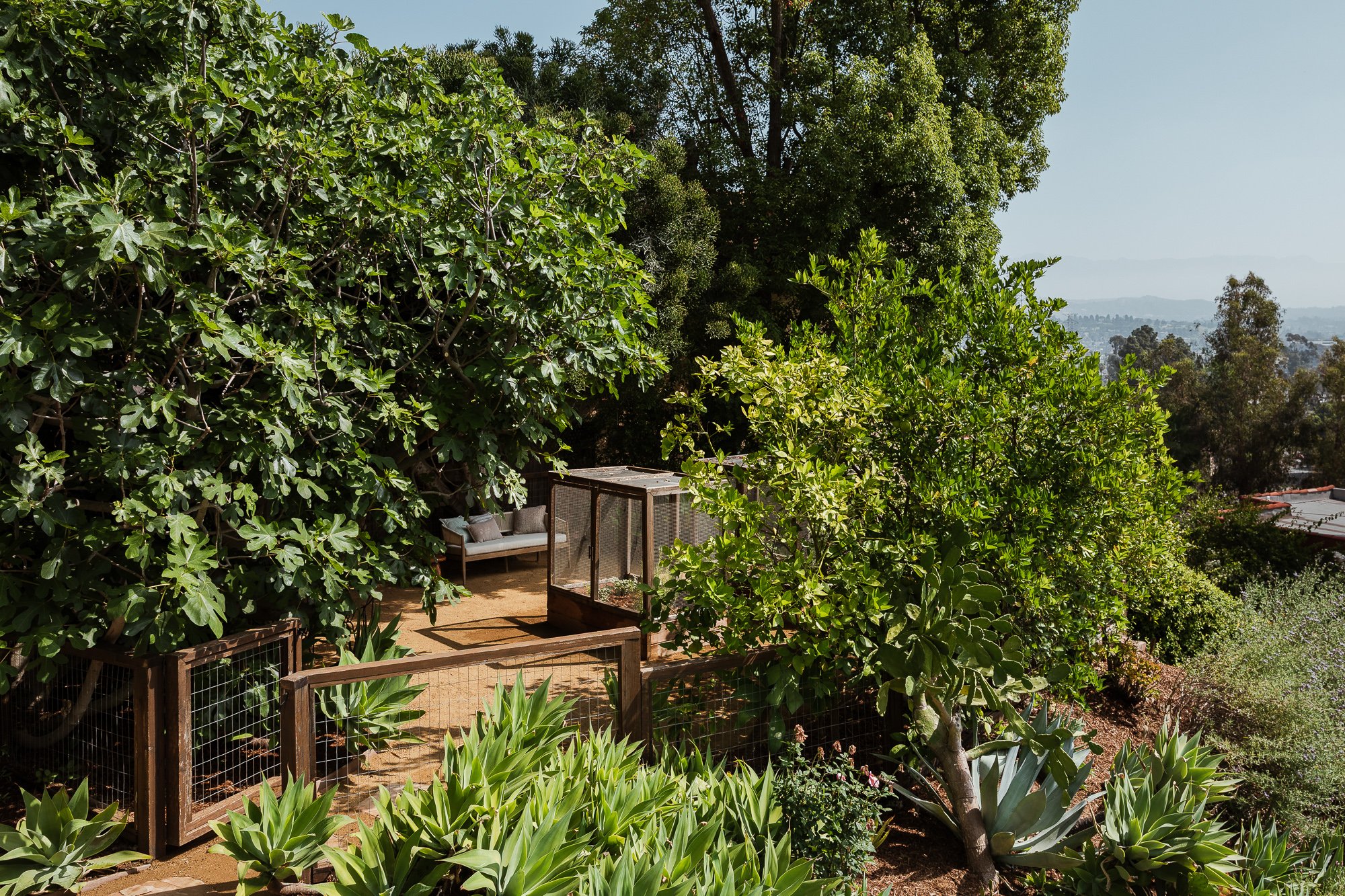 0063 2516 Ivan Hill MLS.jpg