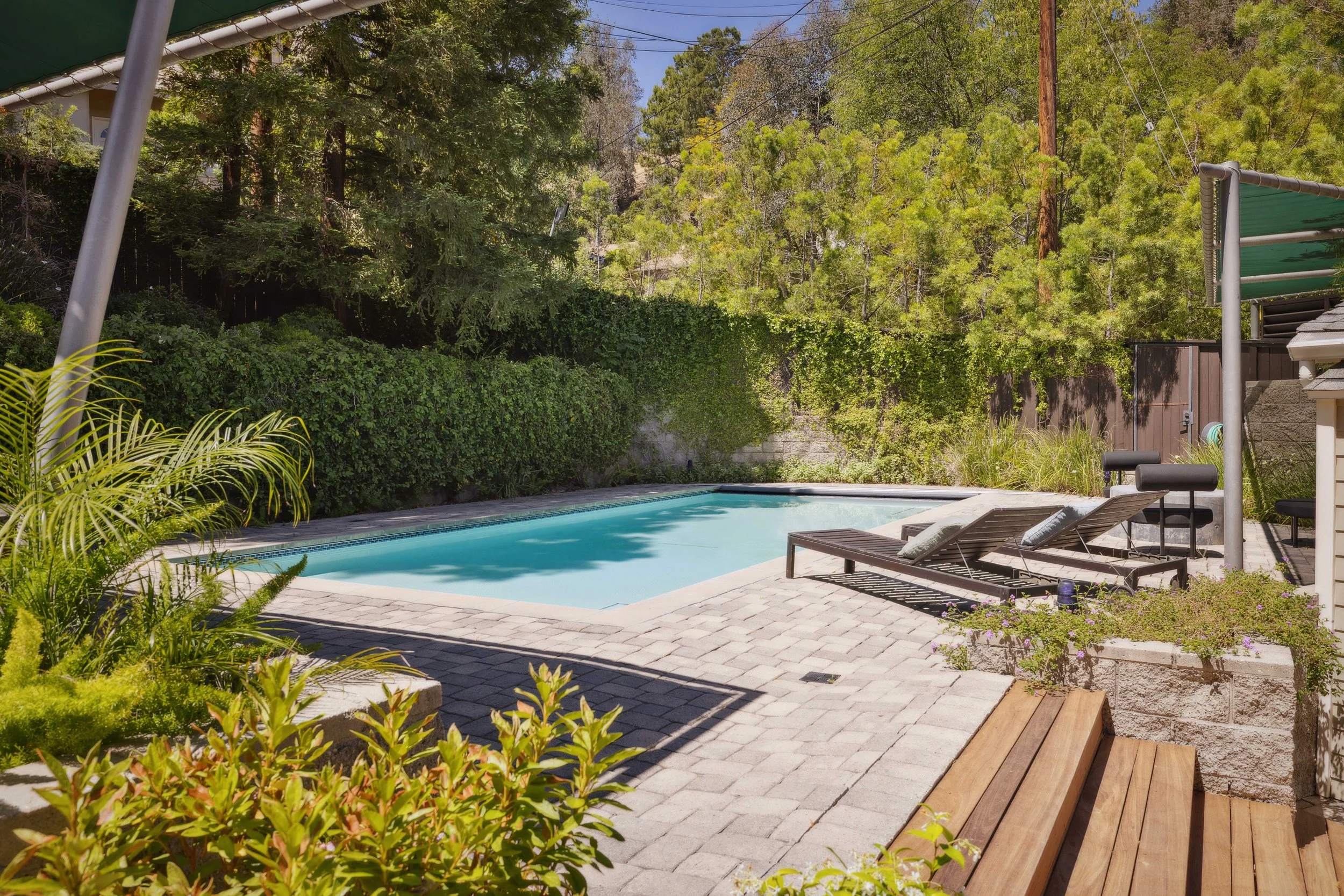 Backyard with a swimming pool, lounge chairs, lush greenery, and trees in the background.