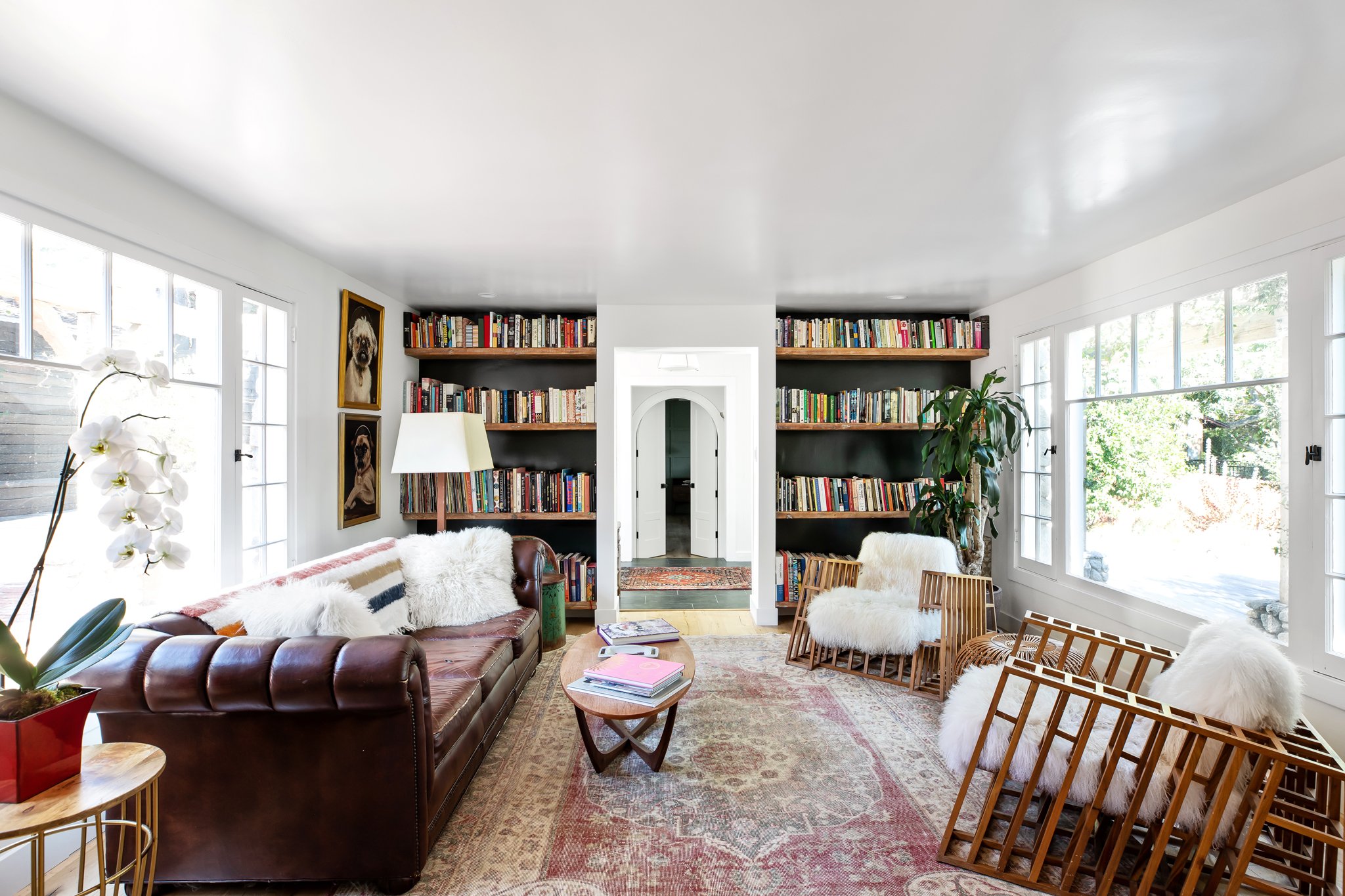 Living room with leather sofa, white furry pillows, wooden chairs with furry cushions, bookshelves, large windows, potted plant, and framed dog portraits.