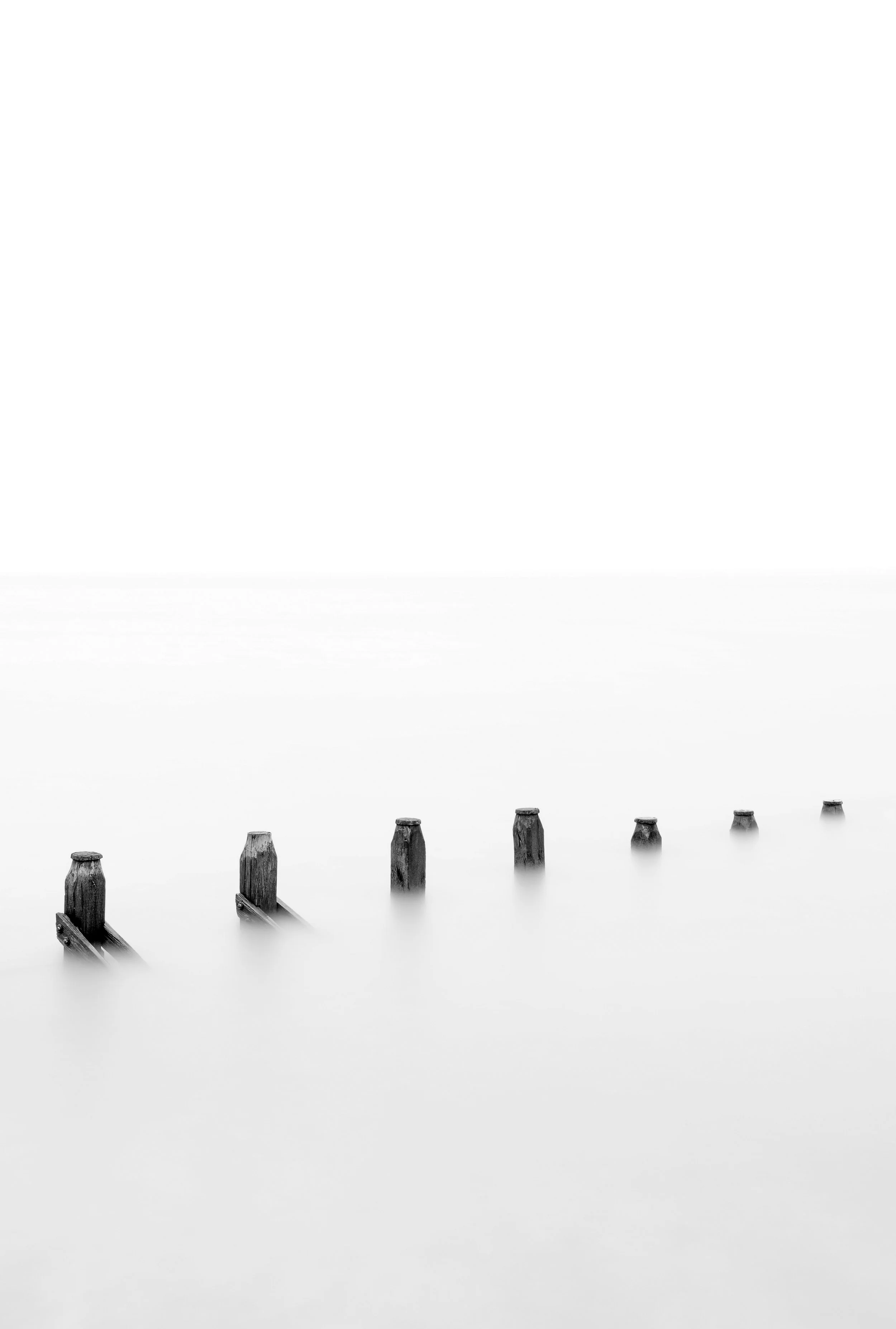 _DSC7733.jpg