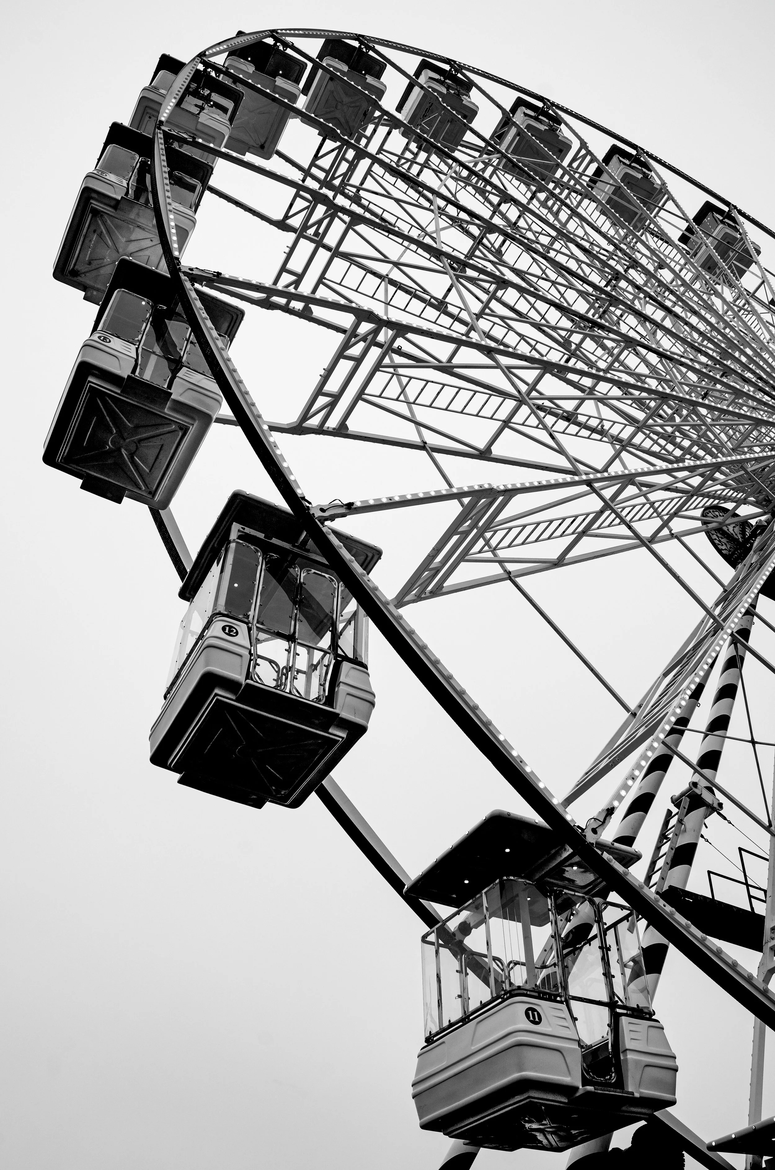 _DSC8021.jpg