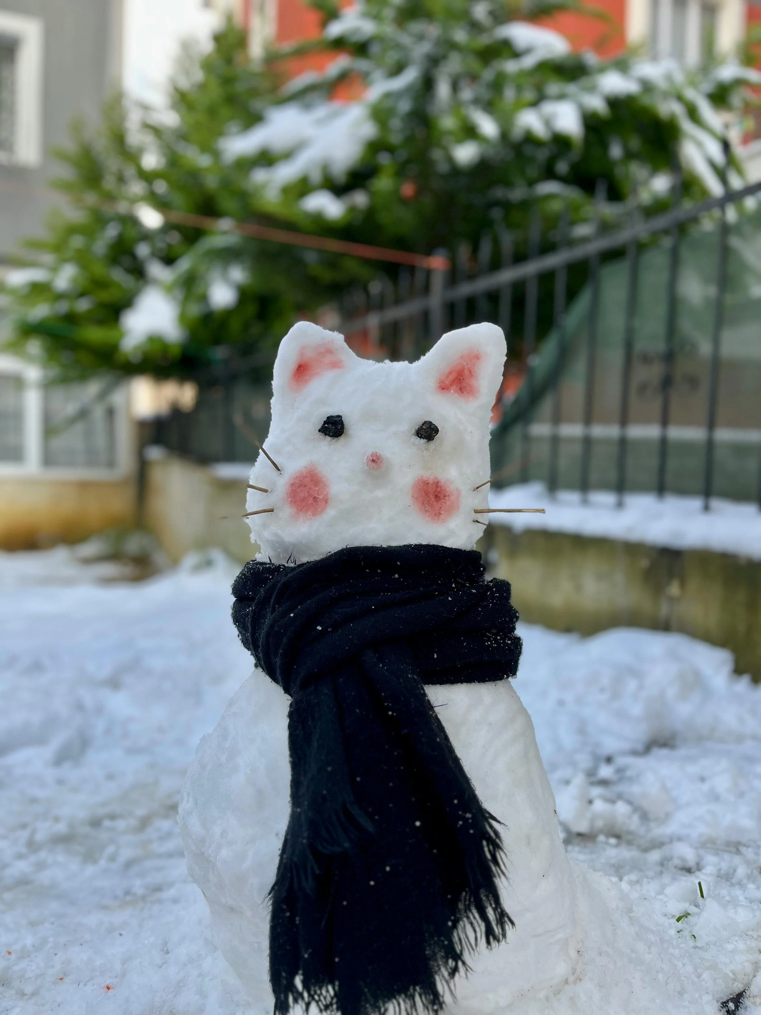 Schneefigur in Form einer Katze, trägt einen schwarzen Schal, mit rosafarbenen Wangen, Nase und Ohrinnenseiten, steht im Schnee vor einem Zaun und einem grünen Baum.