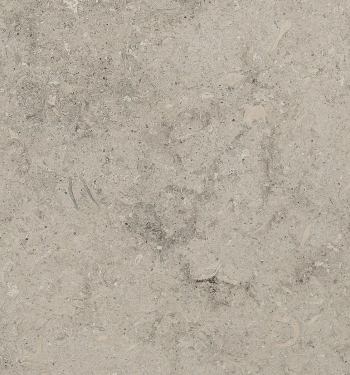 Image 1-9-26 at 4.21 PM.jpeg