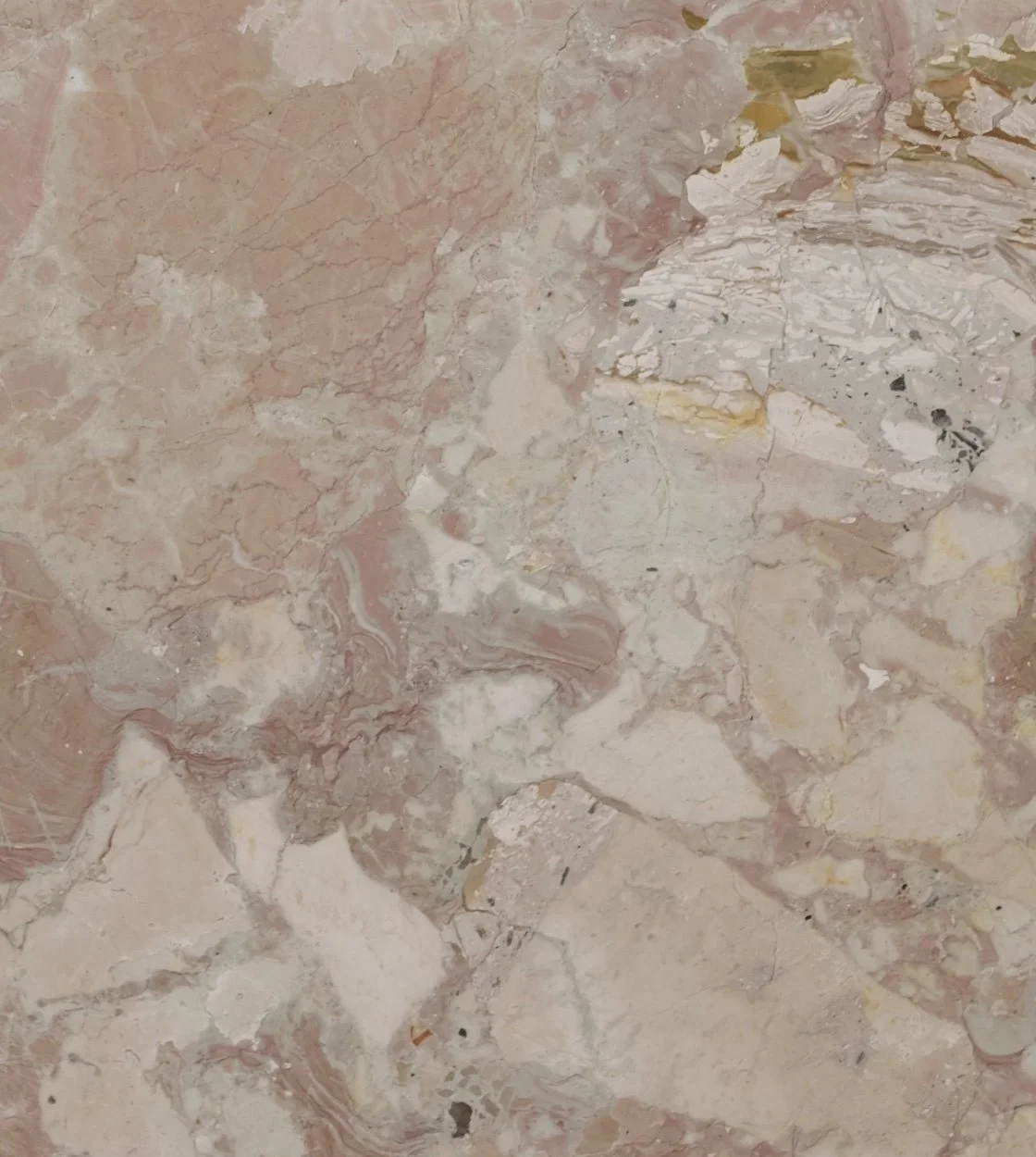 Image 1-9-26 at 4.29 PM.jpeg