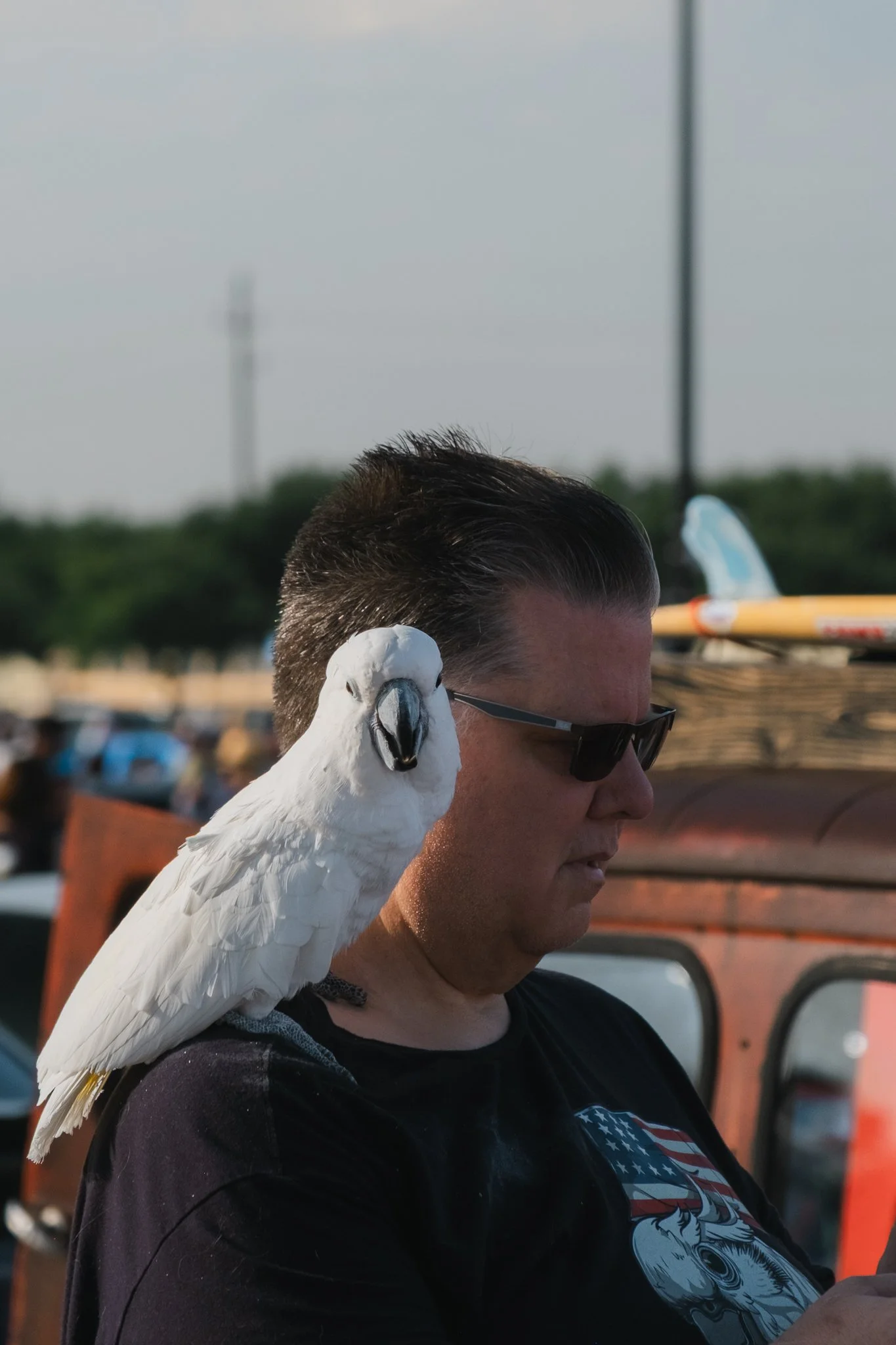 DSCF1222.jpg